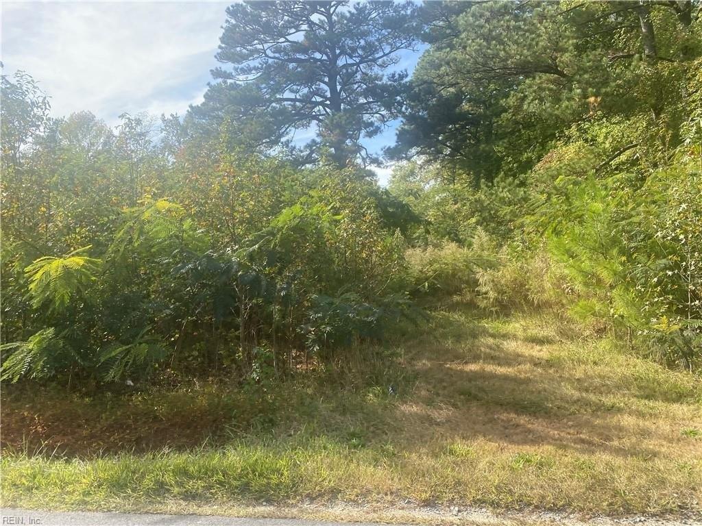 Manning Rd, Suffolk, VA 23434