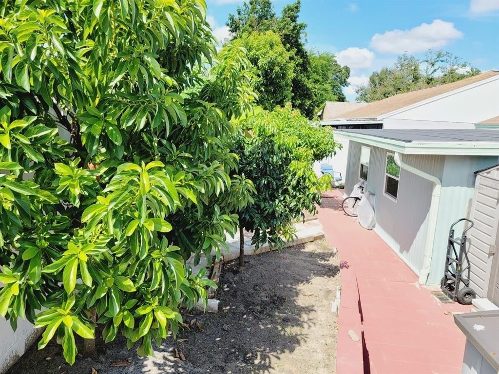 Crown Park Dr, Valrico, FL 33594