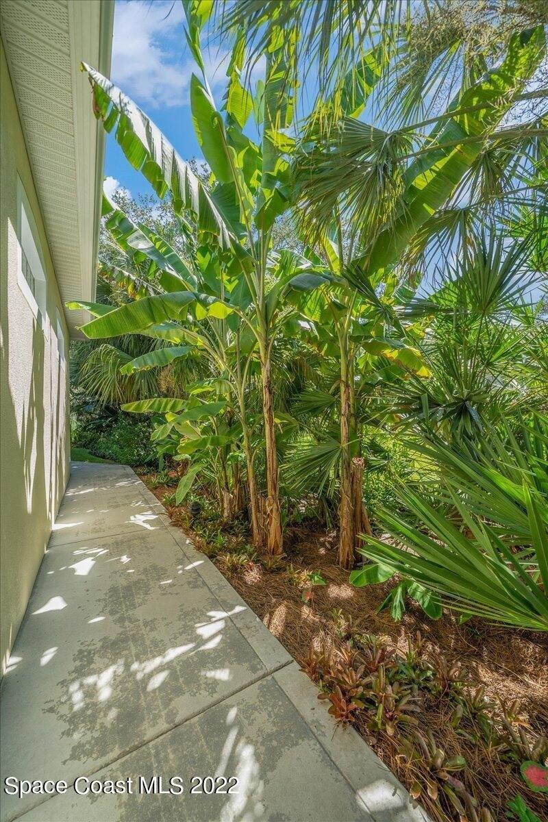 Davidia Dr, Melbourne, FL 32934