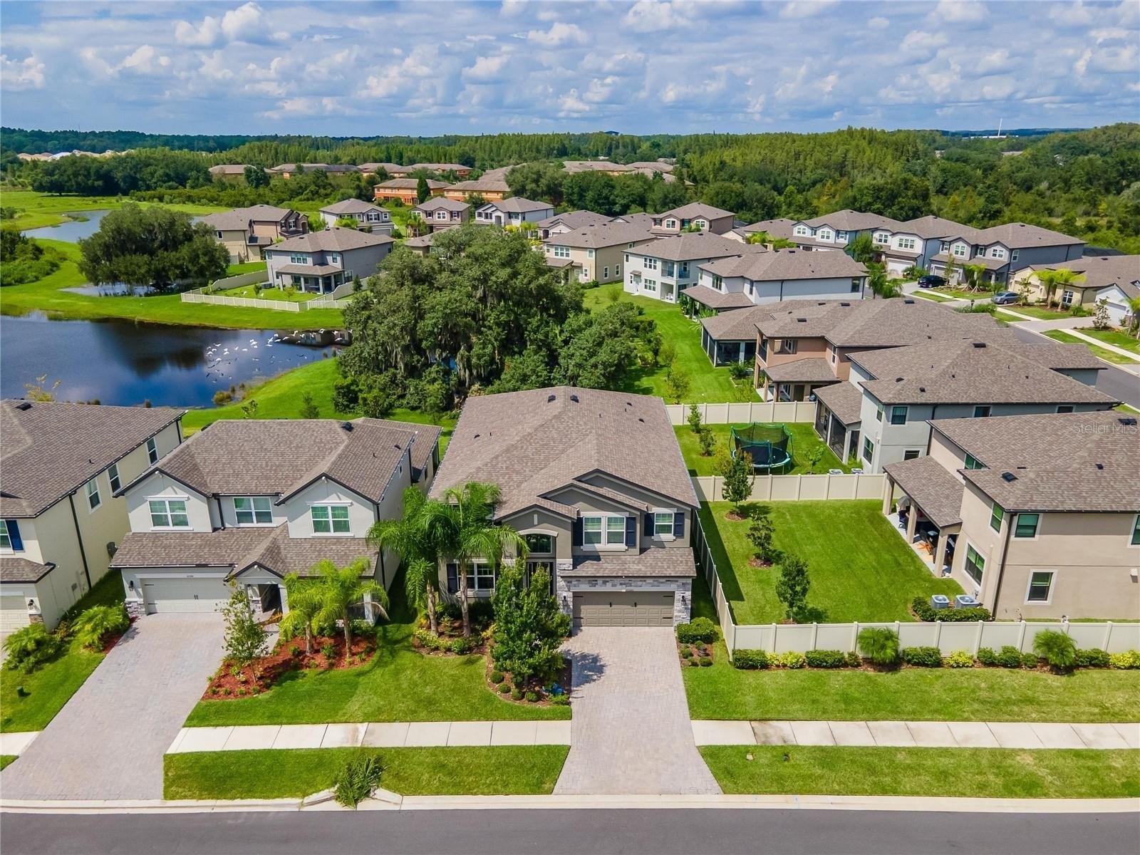 Stallion Fields Way, Tampa, FL 33647