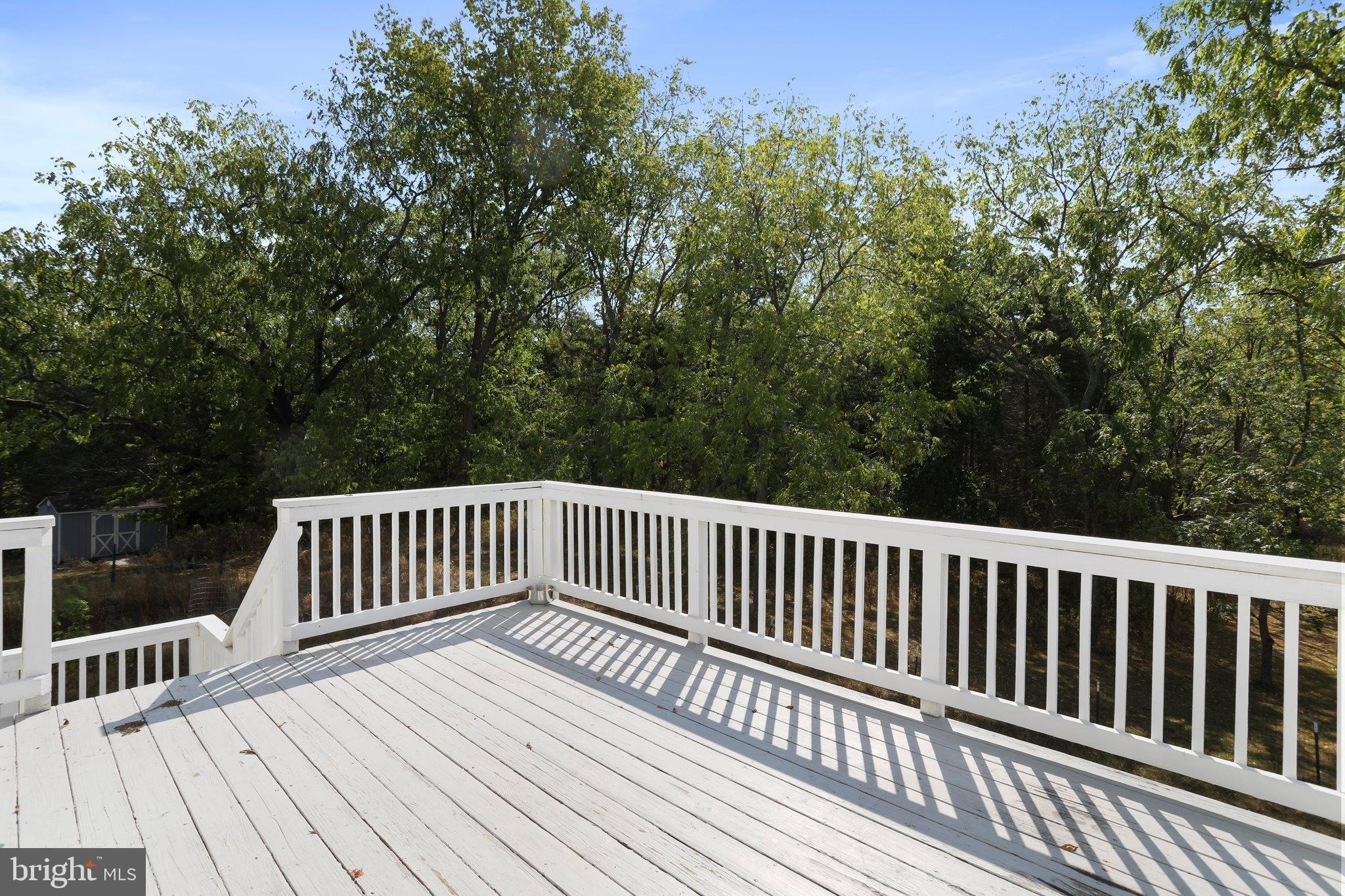 Cecelia St, Toms Brook, VA 22660