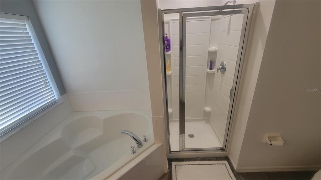 Golden Beach Ct, Kissimmee, FL 34746
