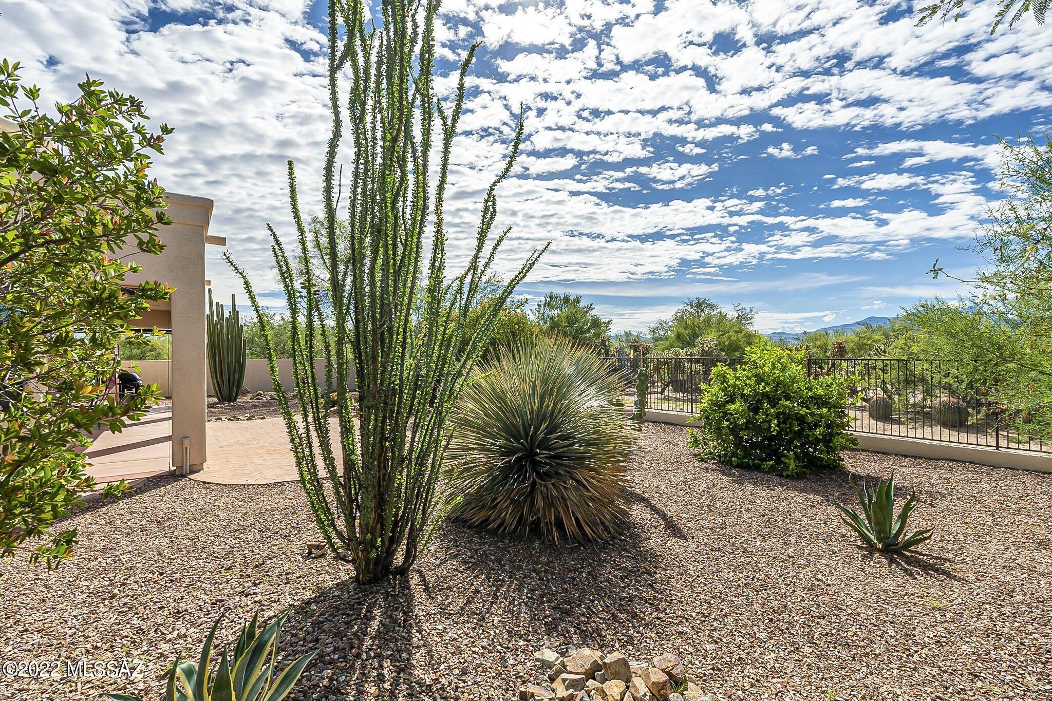 W Bosque Dr, Sahuarita, AZ 85629