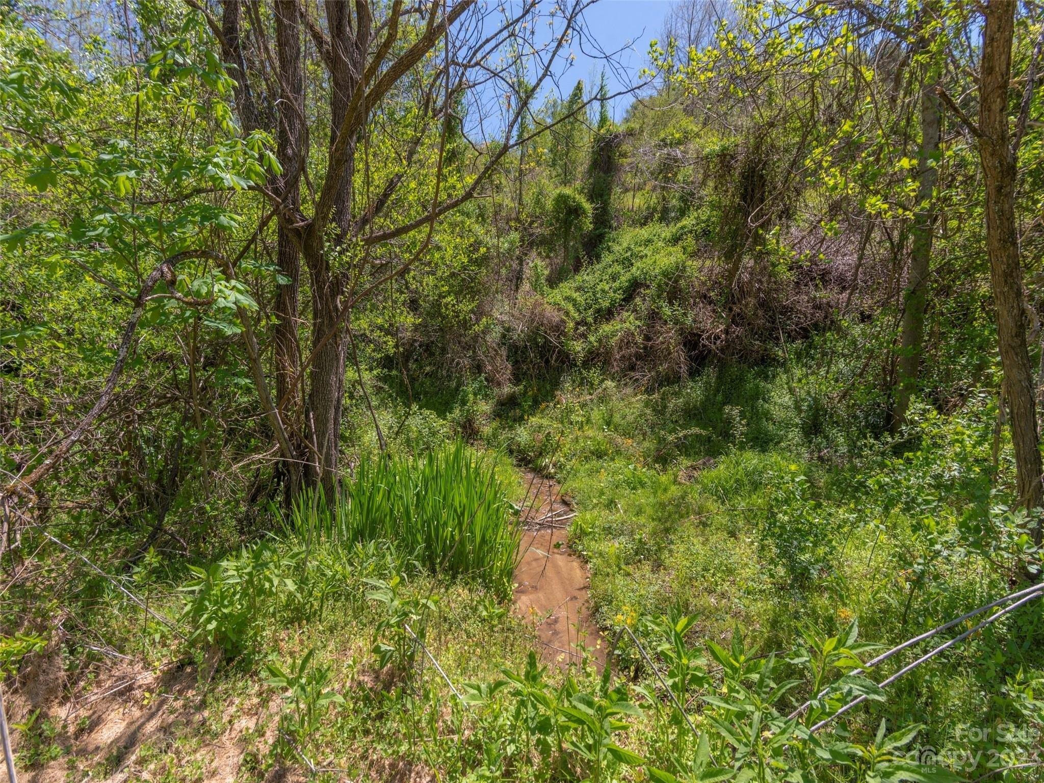 Davis Cove Rd, Leicester, NC 28748