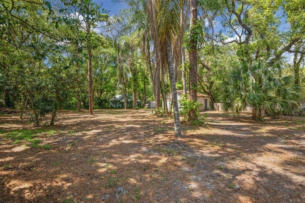 N 52nd St, Temple Terrace, FL 33617