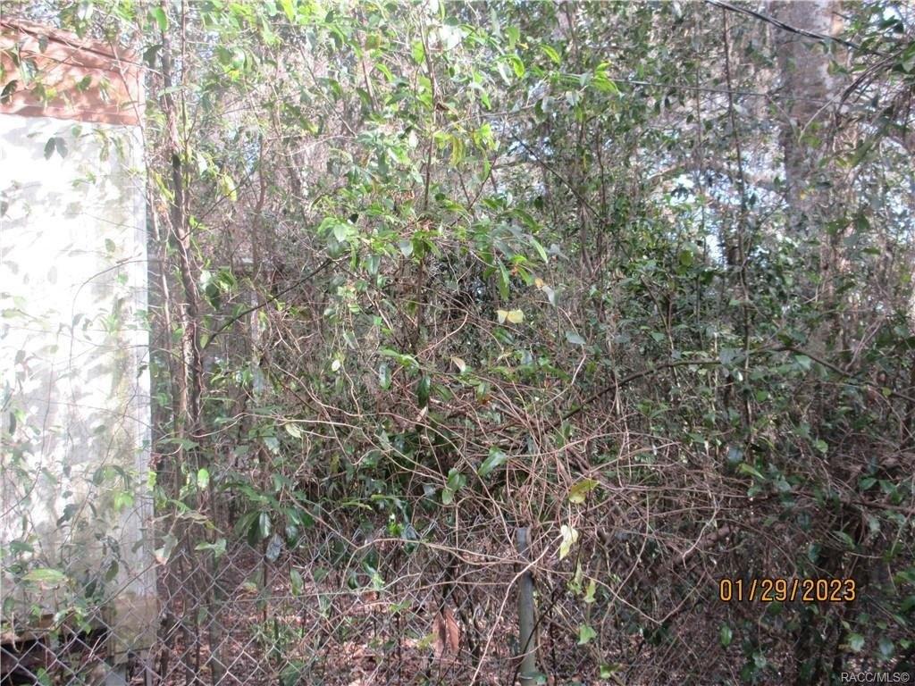 E Gobbler Ct, Floral City, FL 34436