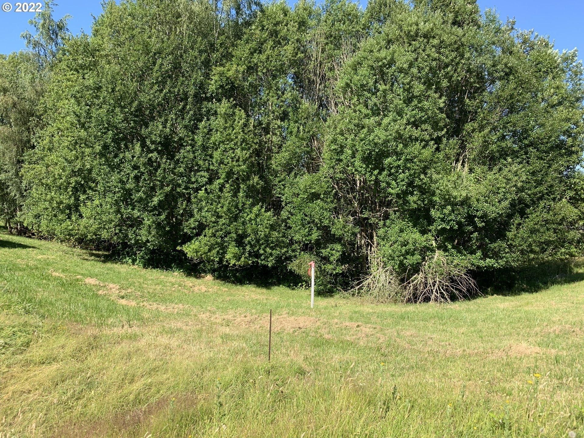 S 15th Ct, Ridgefield, WA 98642