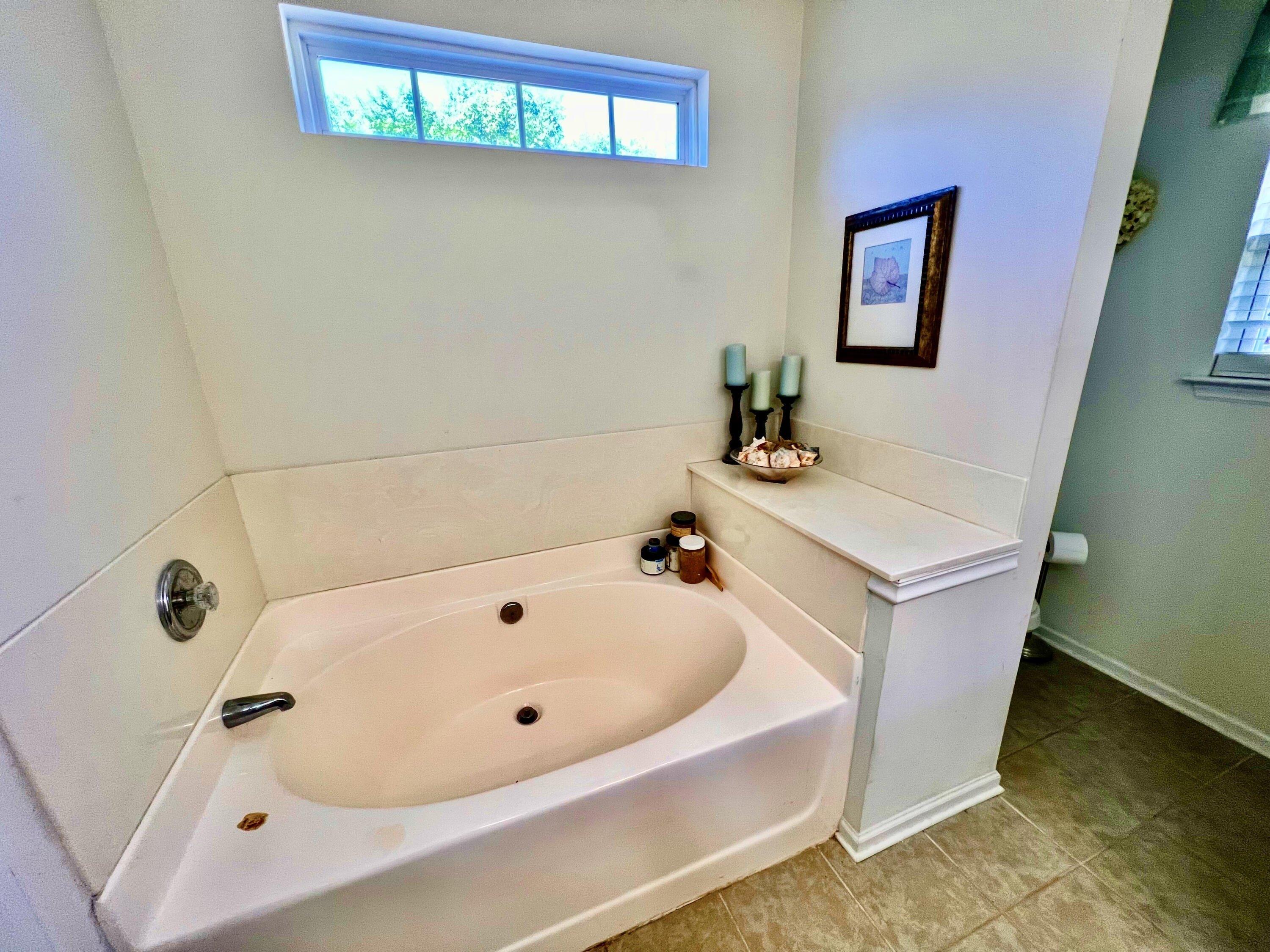 Spotted Owl Dr, Mount Pleasant, SC 29466