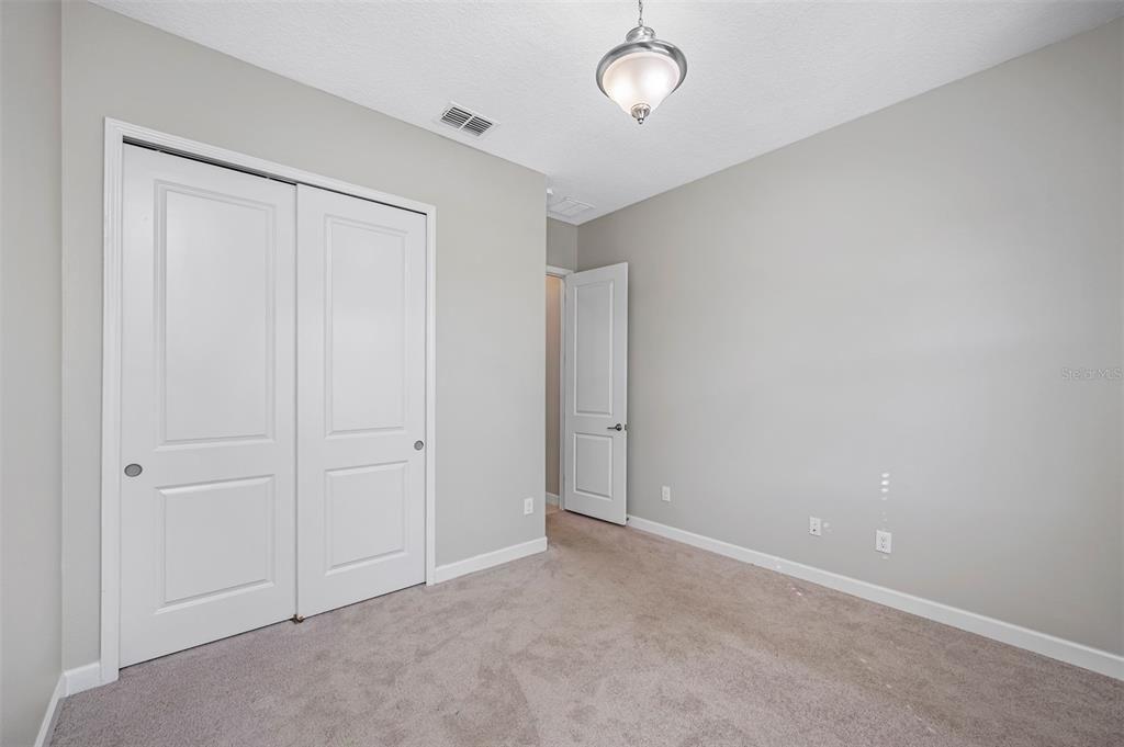 Lago Mist Way, Wesley Chapel, FL 33545