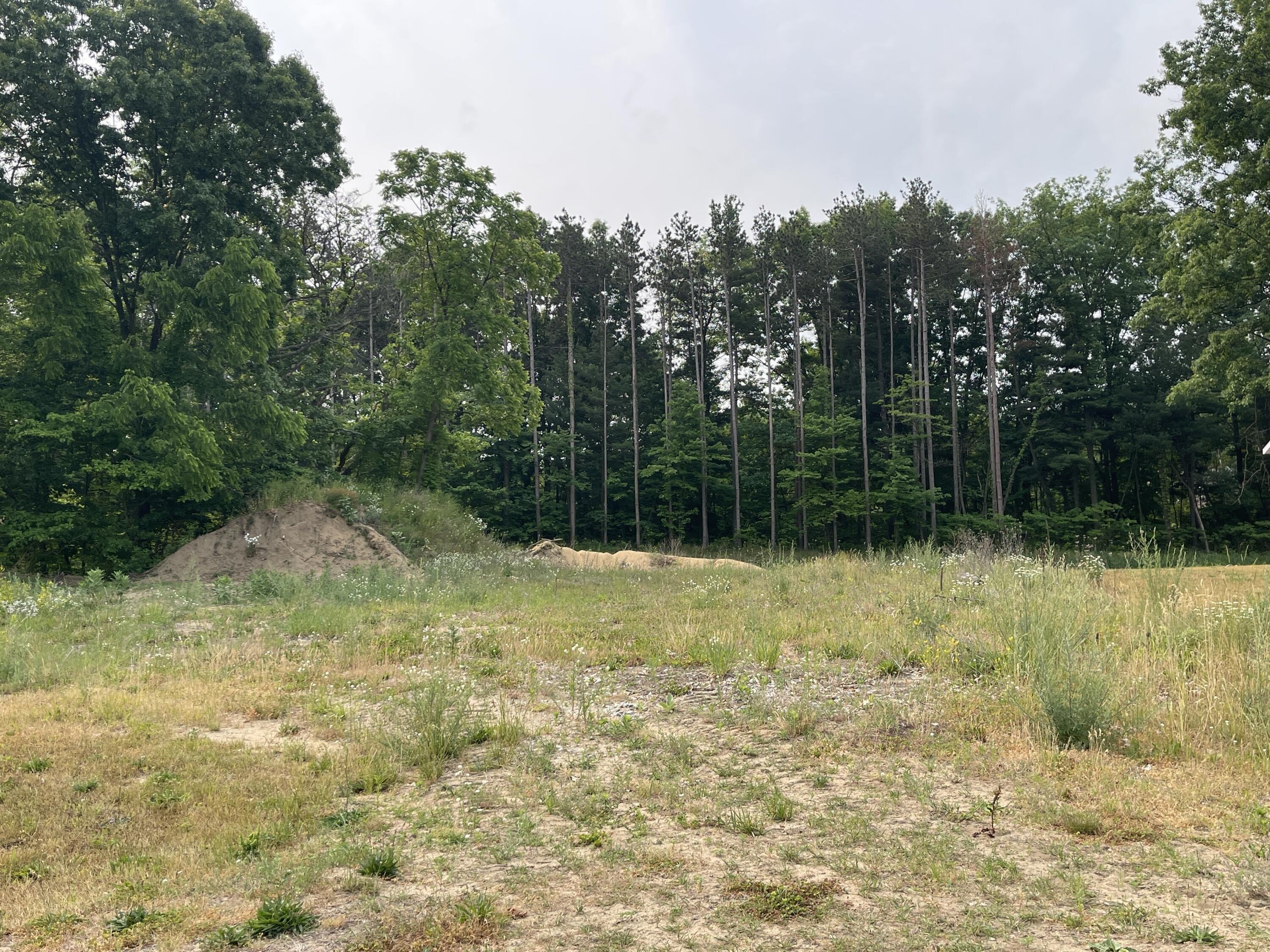 Weston Dr, Coopersville, MI 49404