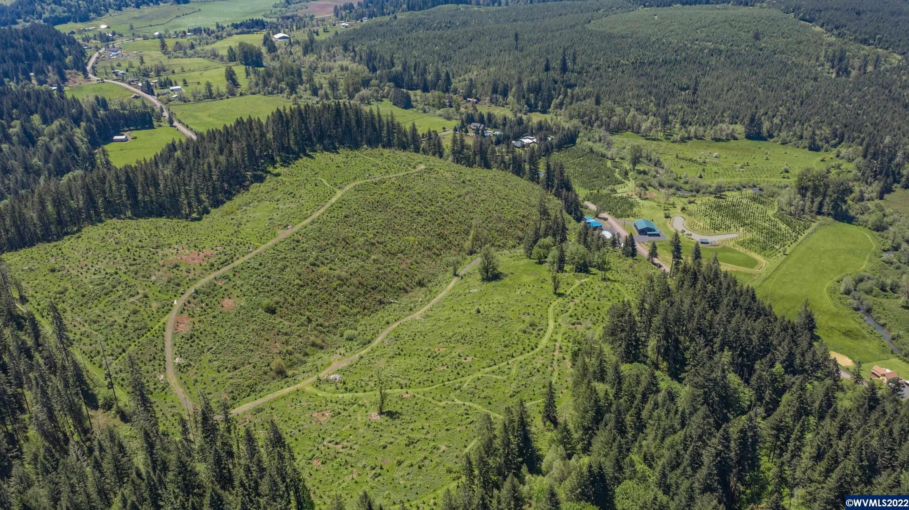 Upper Berlin Dr, Lebanon, OR 97355
