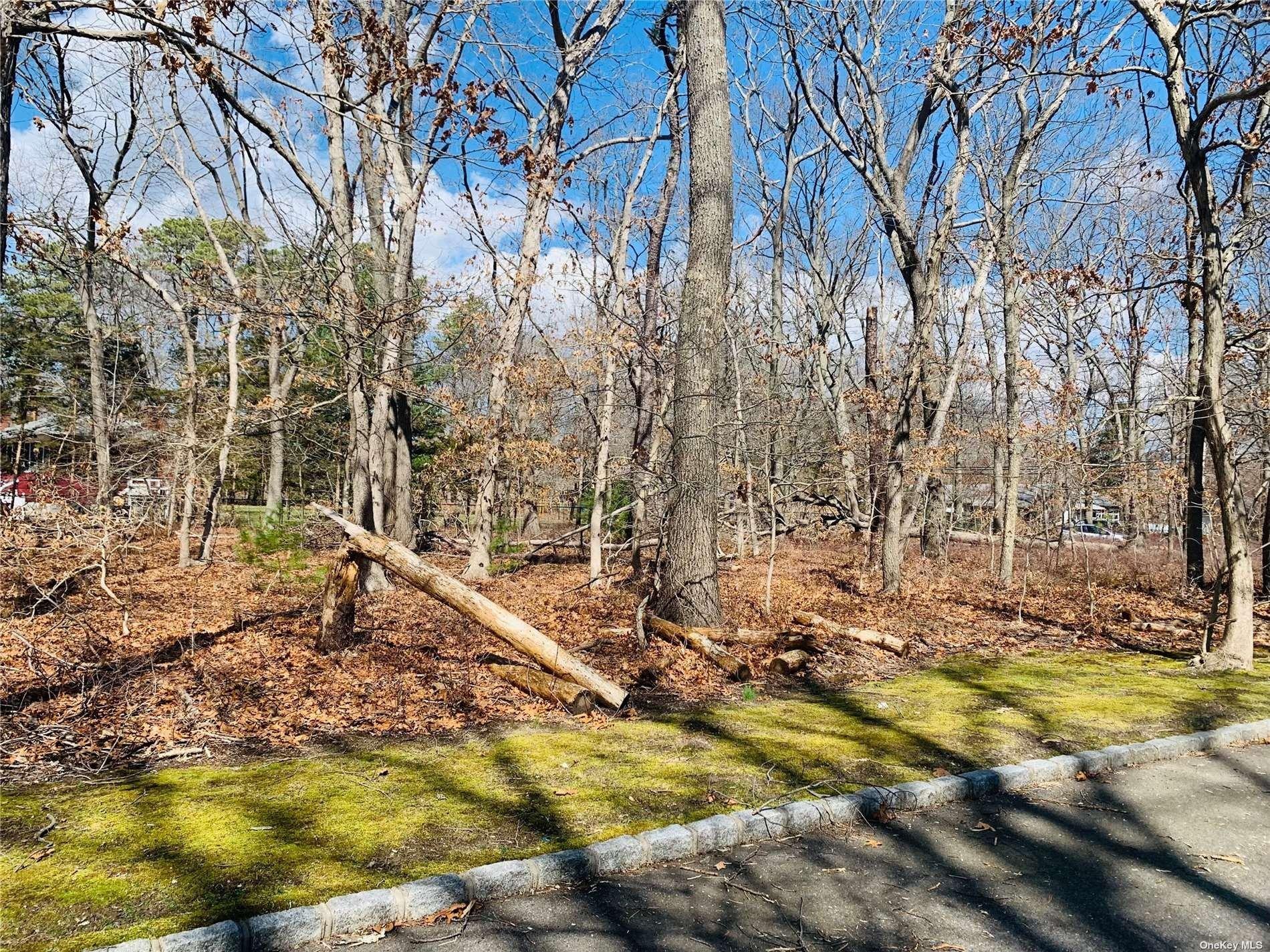 Pine Rd, Coram, NY 11727