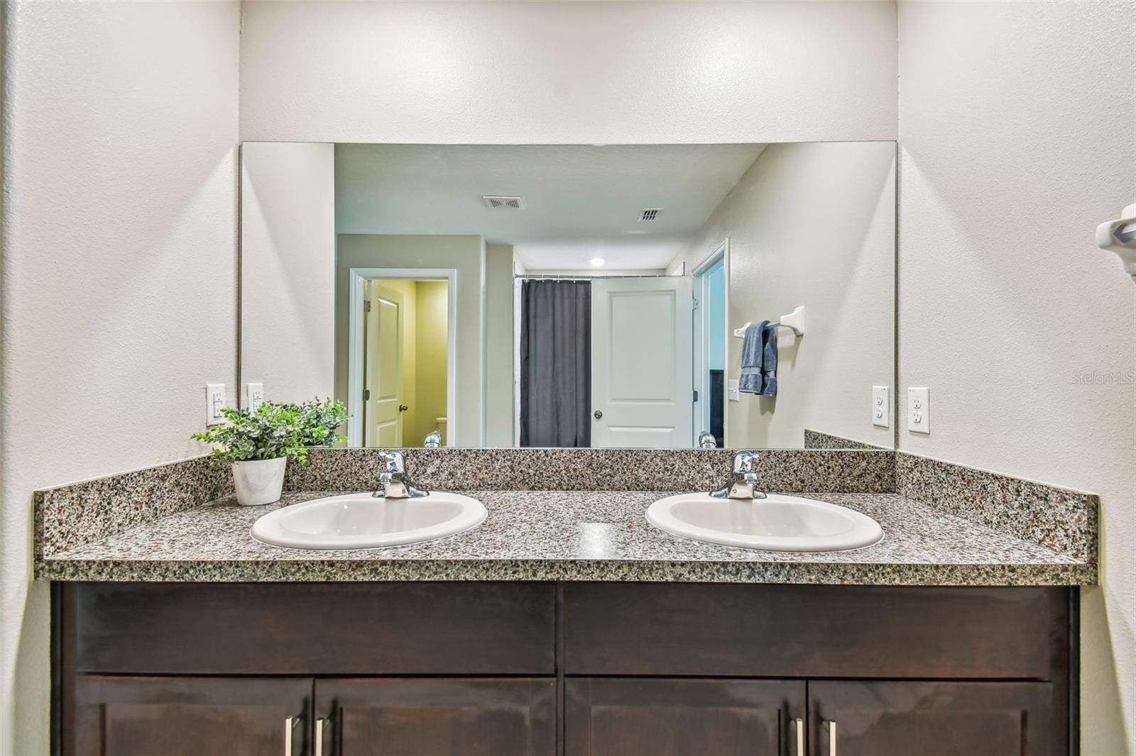 Daisy Bloom Pl, Tampa, FL 33619
