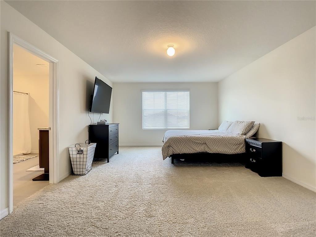 Arbequina Ct, Plant City, FL 33566