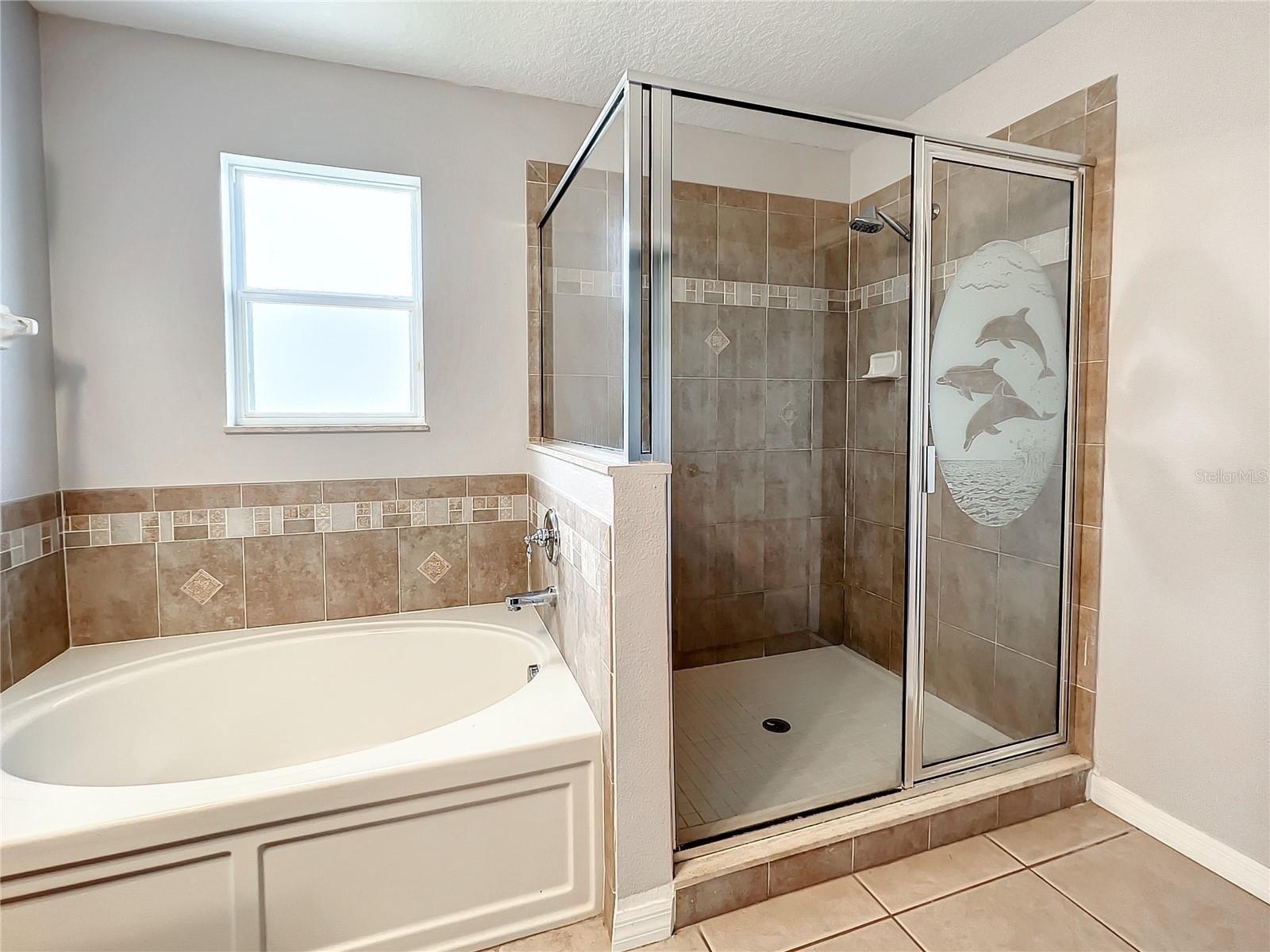 Thistledown Ln, Land O Lakes, FL 34638