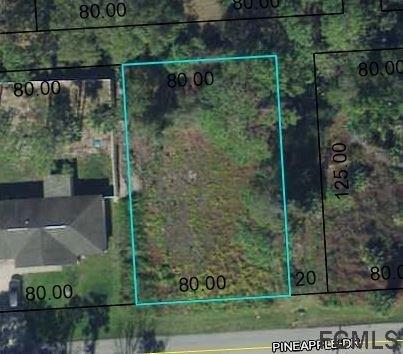 Pineapple Dr, Palm Coast, FL 32164