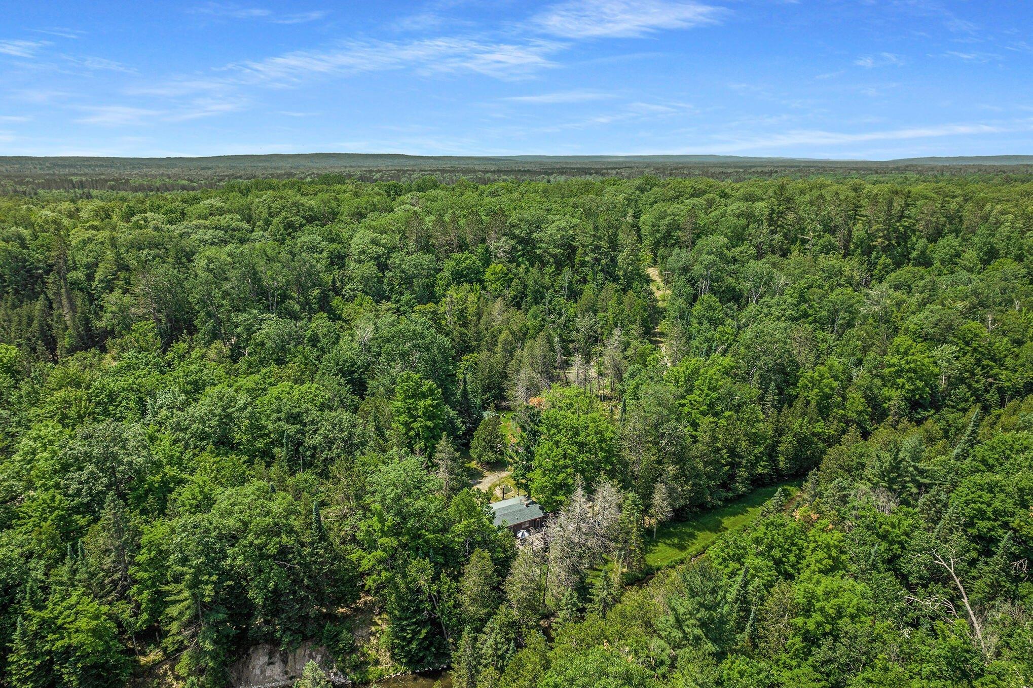 Big Sky Trl, Indian River, MI 49749