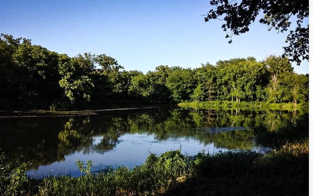 Pikes Peak Pl, Little Elm, TX 75068