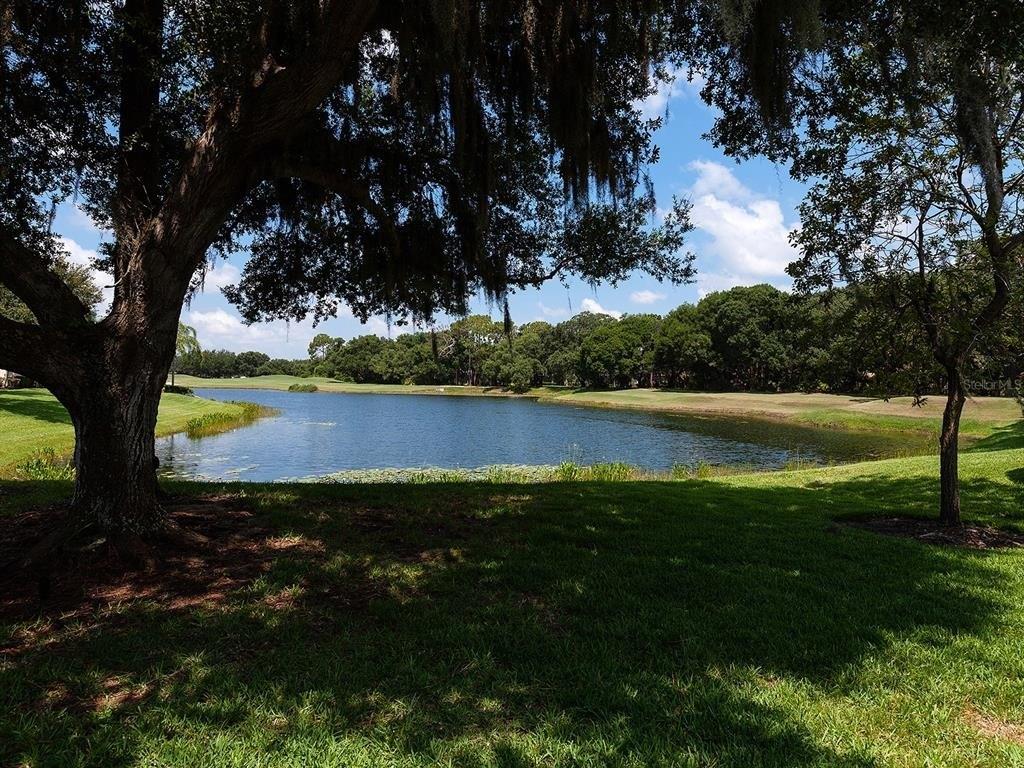 Greystone St, Lakewood Ranch, FL 34202