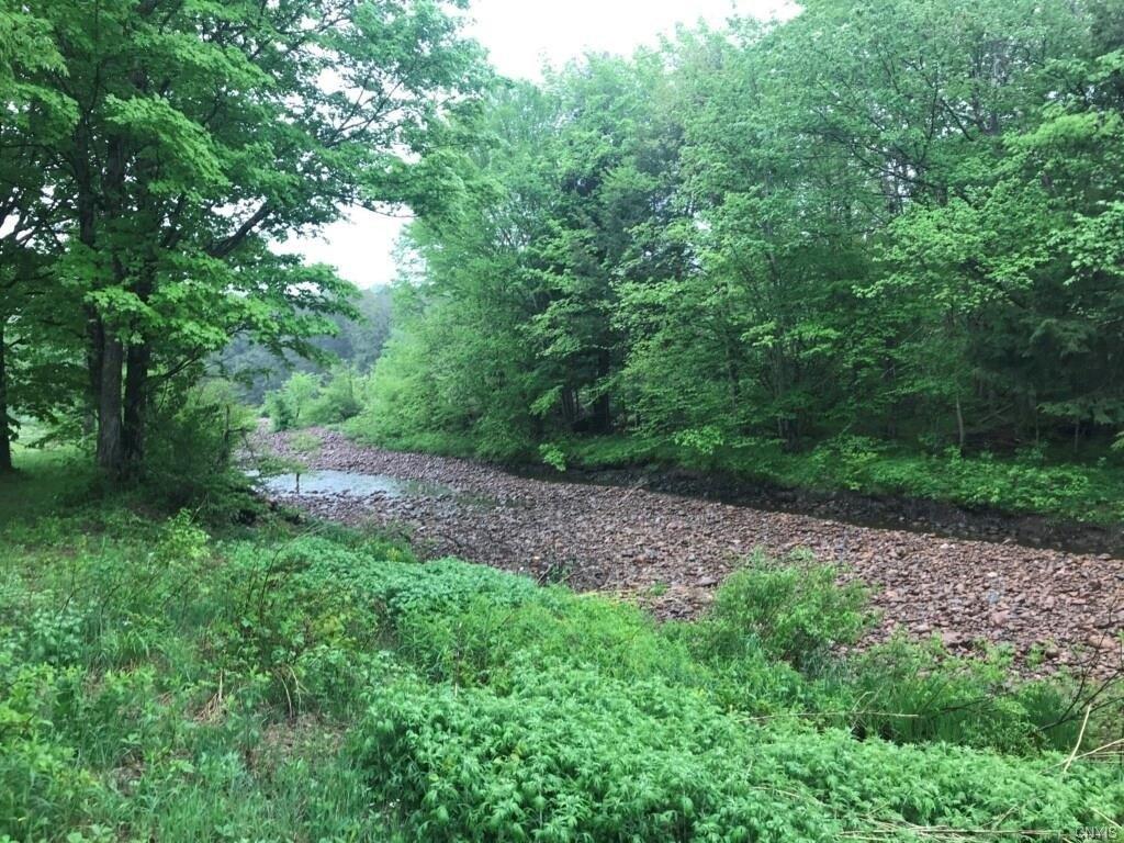 Coleman Rd, Cold Brook, NY 13324