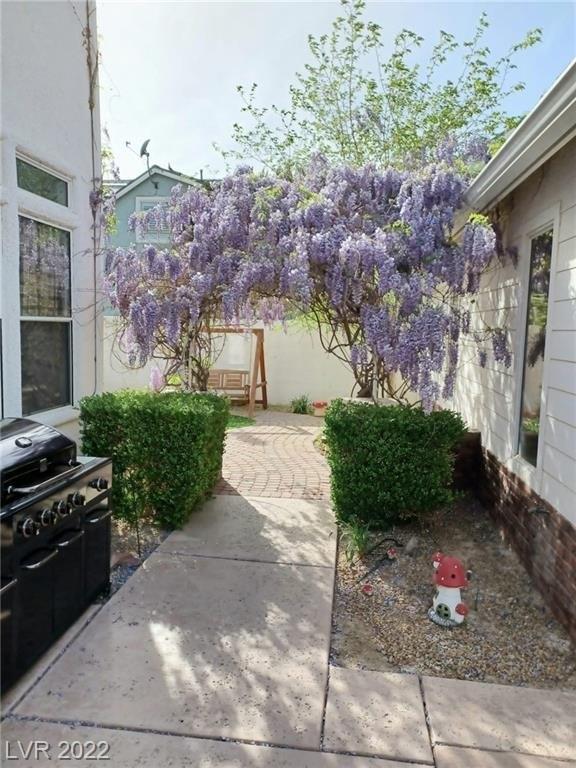 Shenandoah Springs Ave, Las Vegas, NV 89131