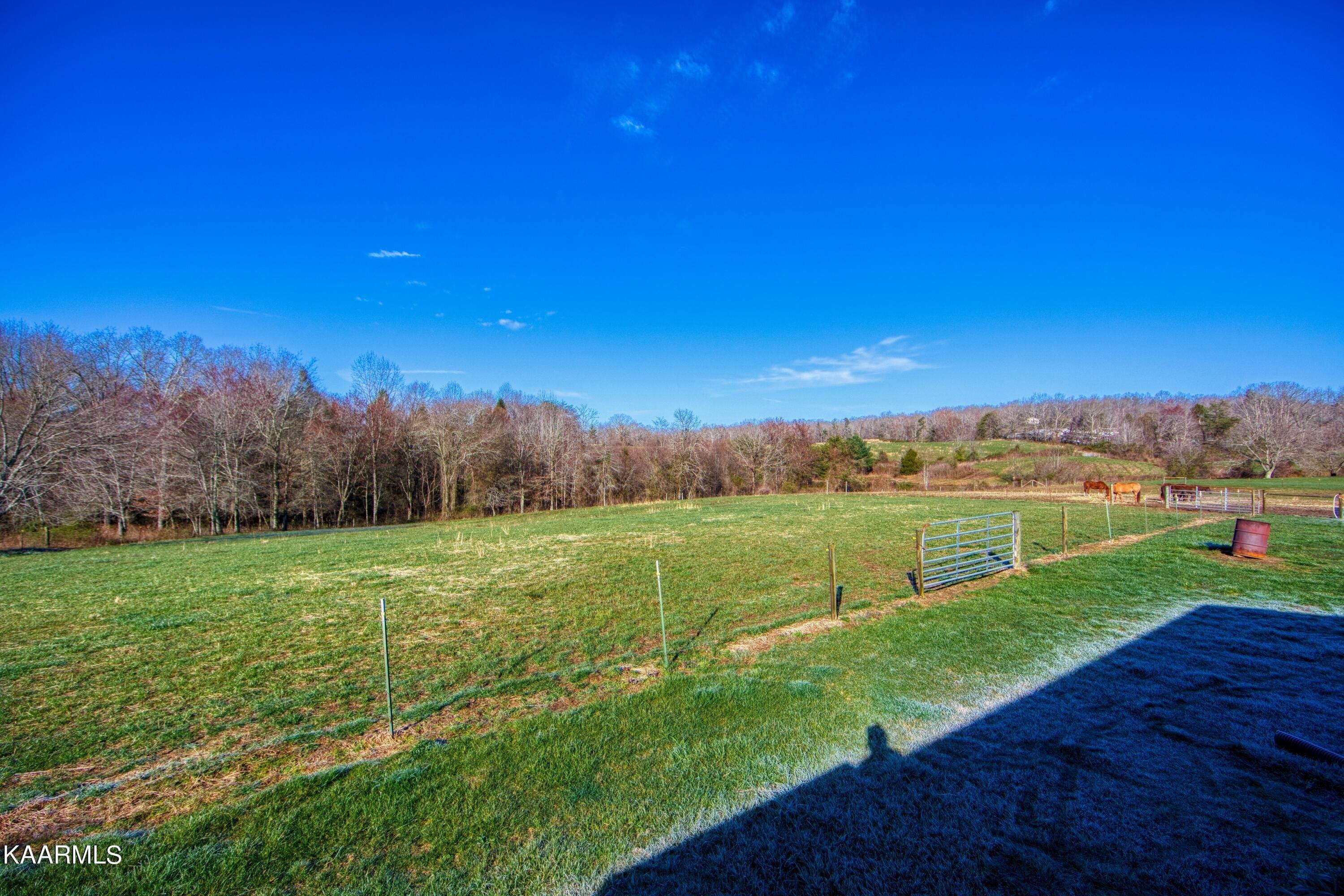 Oloff Smith Rd, Allardt, TN 38504