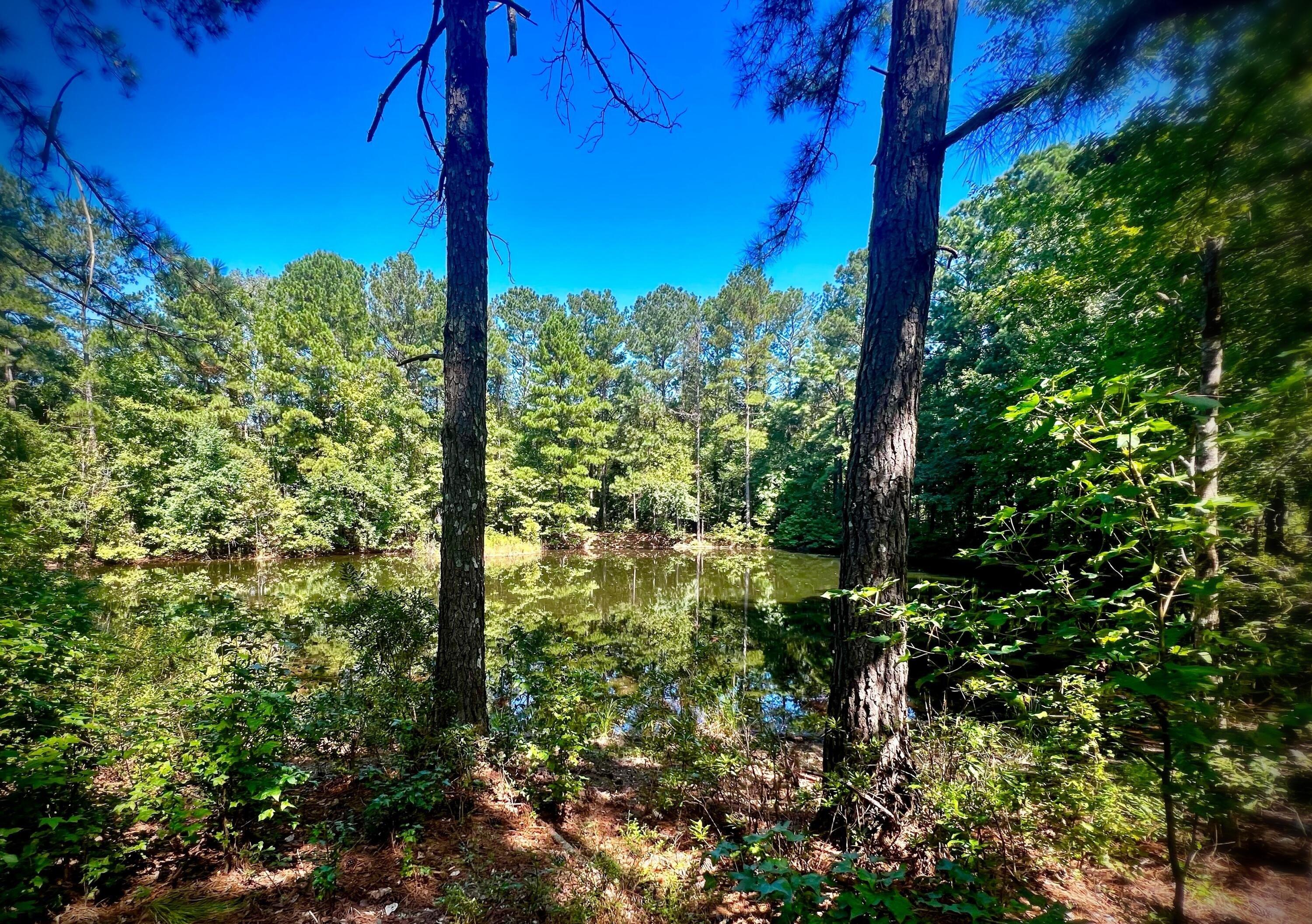 County Line Rd, Harlem, GA 30814