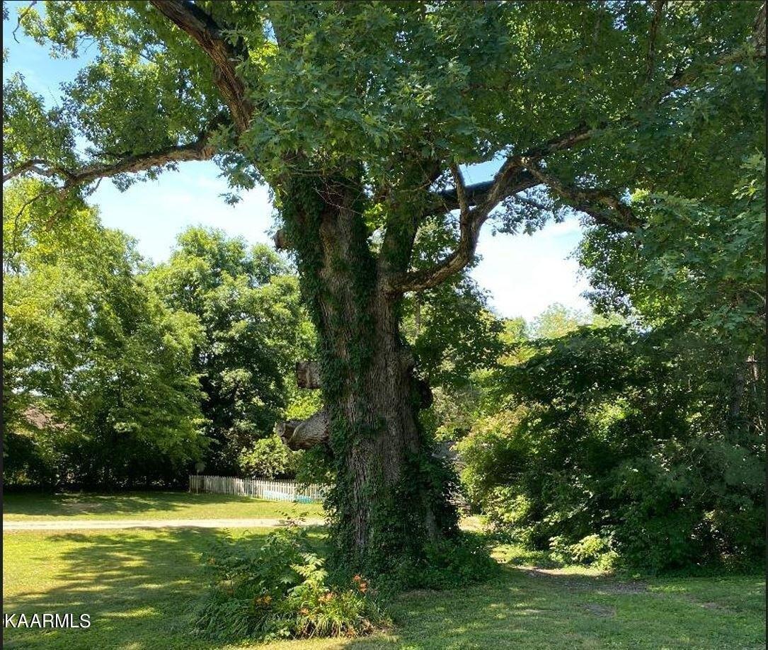Pleasant Ridge Rd, Knoxville, TN 37912
