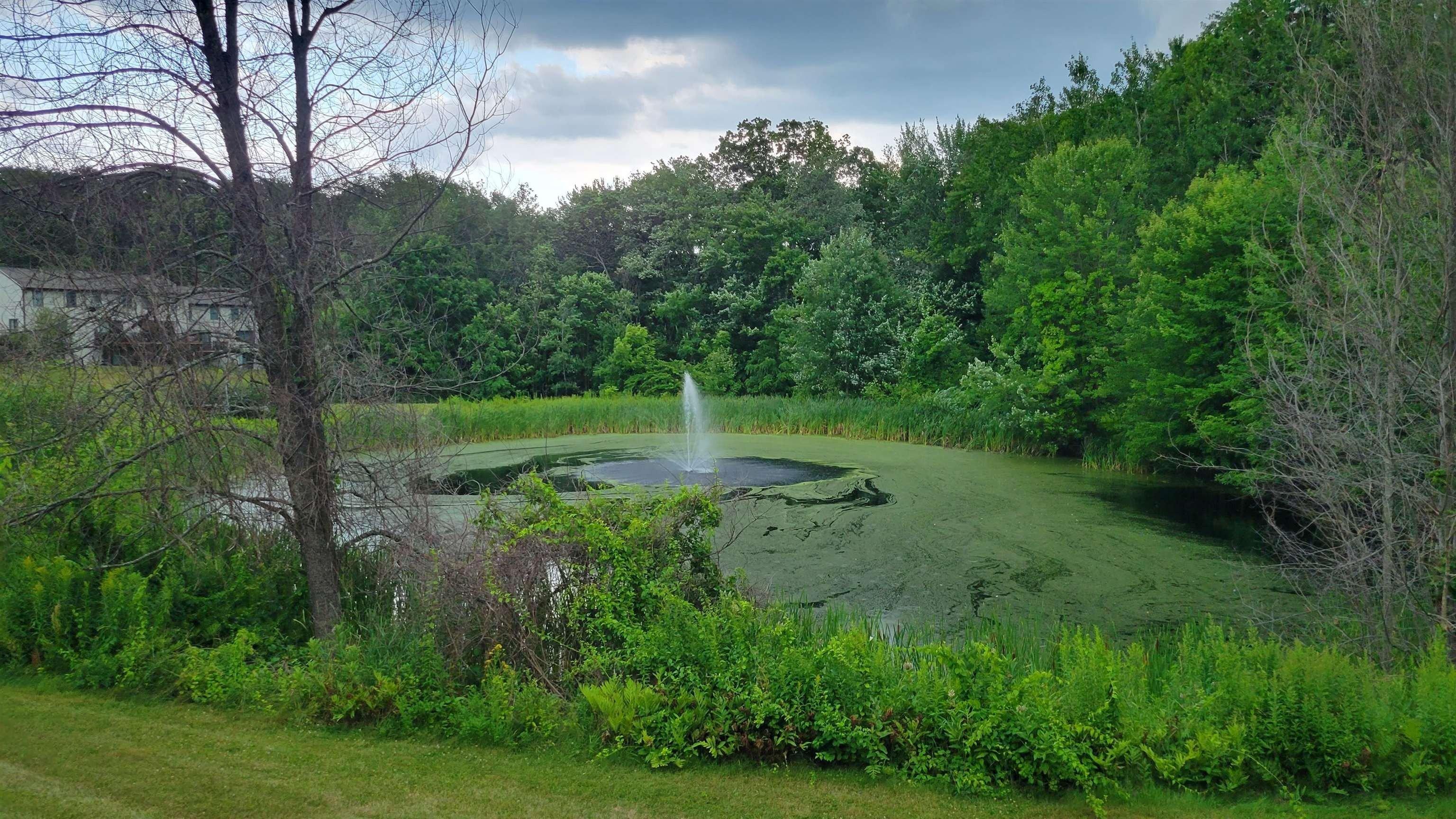 Ledgeview Dr, Rochester, NH 03839