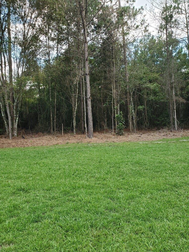 Glynn James Rd, Lyons, GA 30436