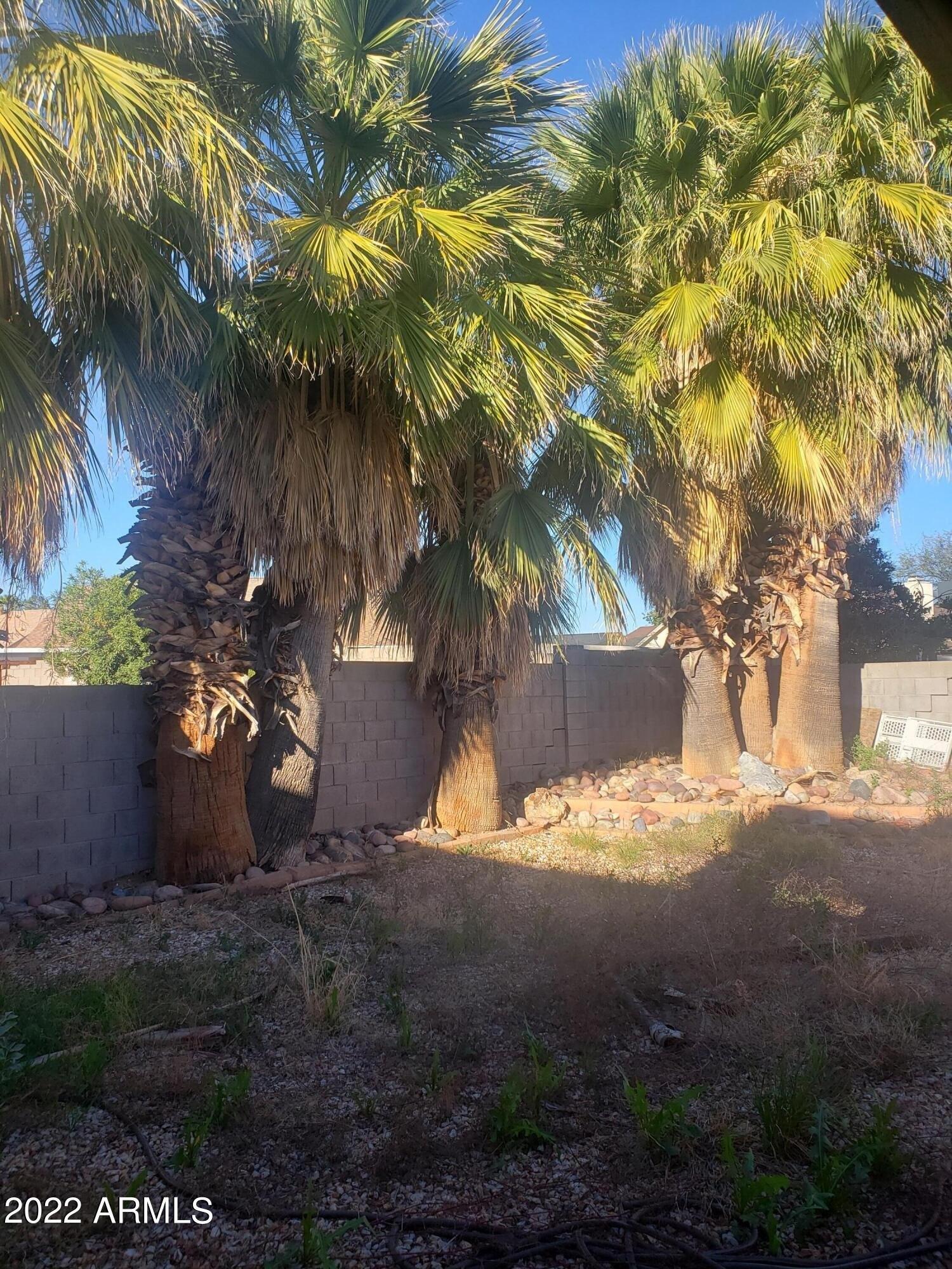 N Rochester, Mesa, AZ 85205