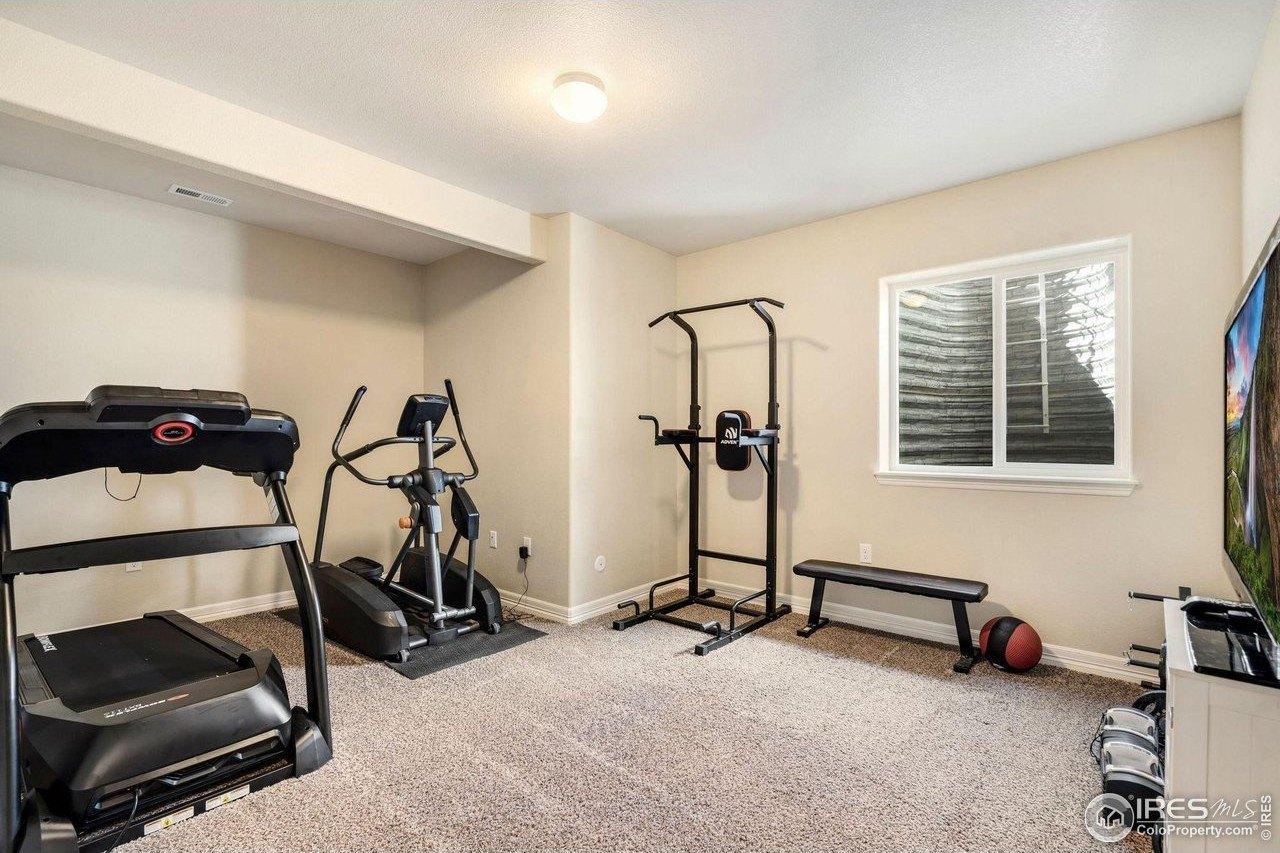 Shirttail Peak Dr, Windsor, CO 80550