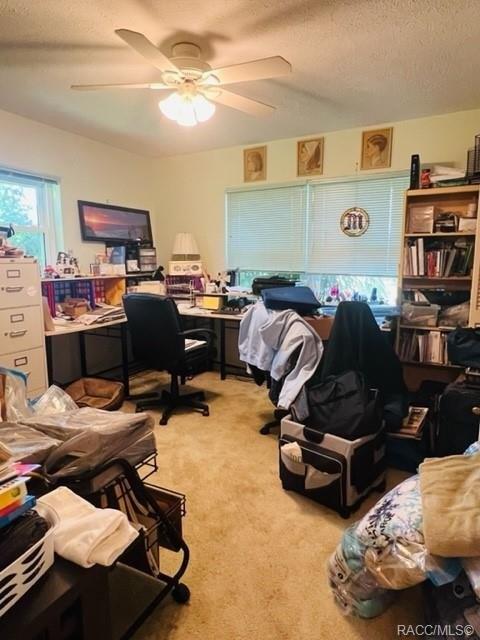 S Winding Path, Inverness, FL 34450