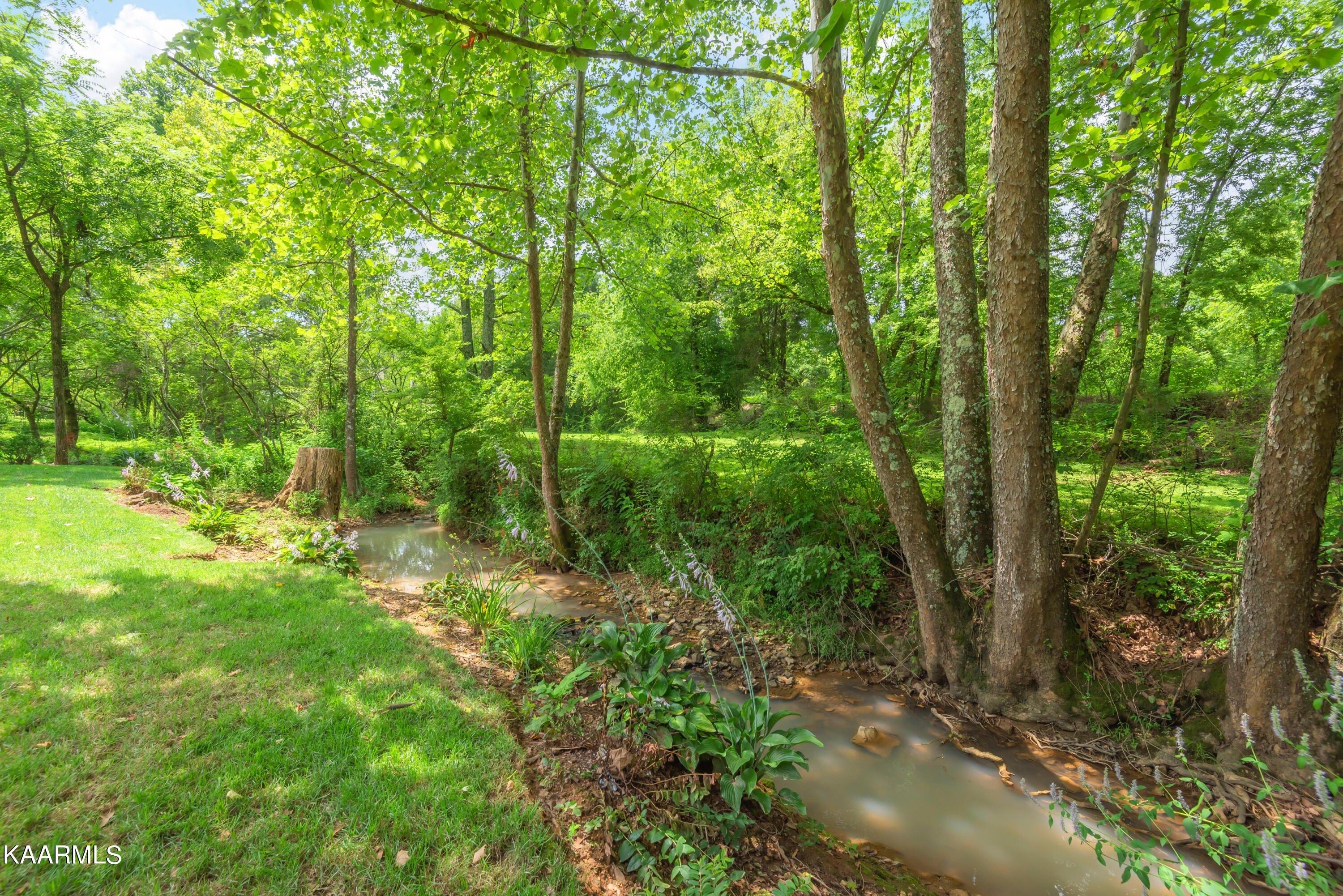 Cardiff Castle Ln, Knoxville, TN 37931