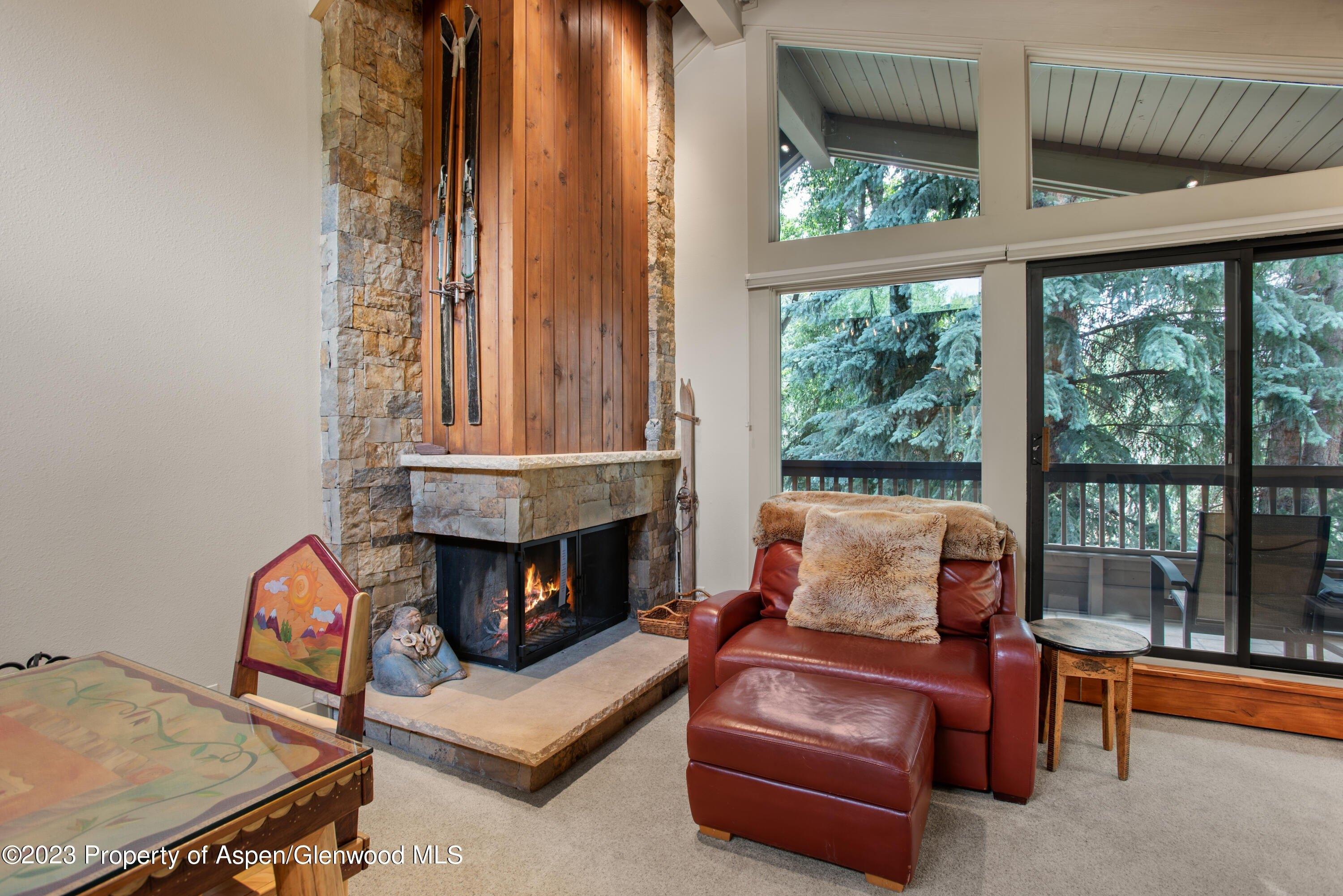 S West End St, Aspen, CO 81611