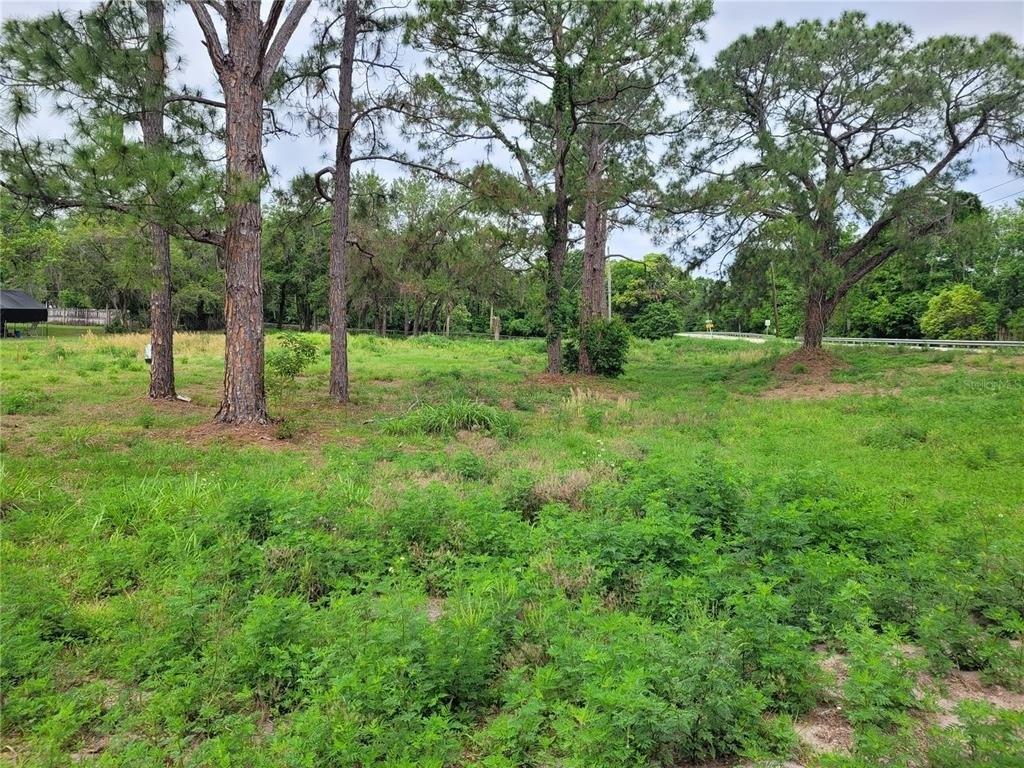 Tackle Ct, Lake Wales, FL 33898