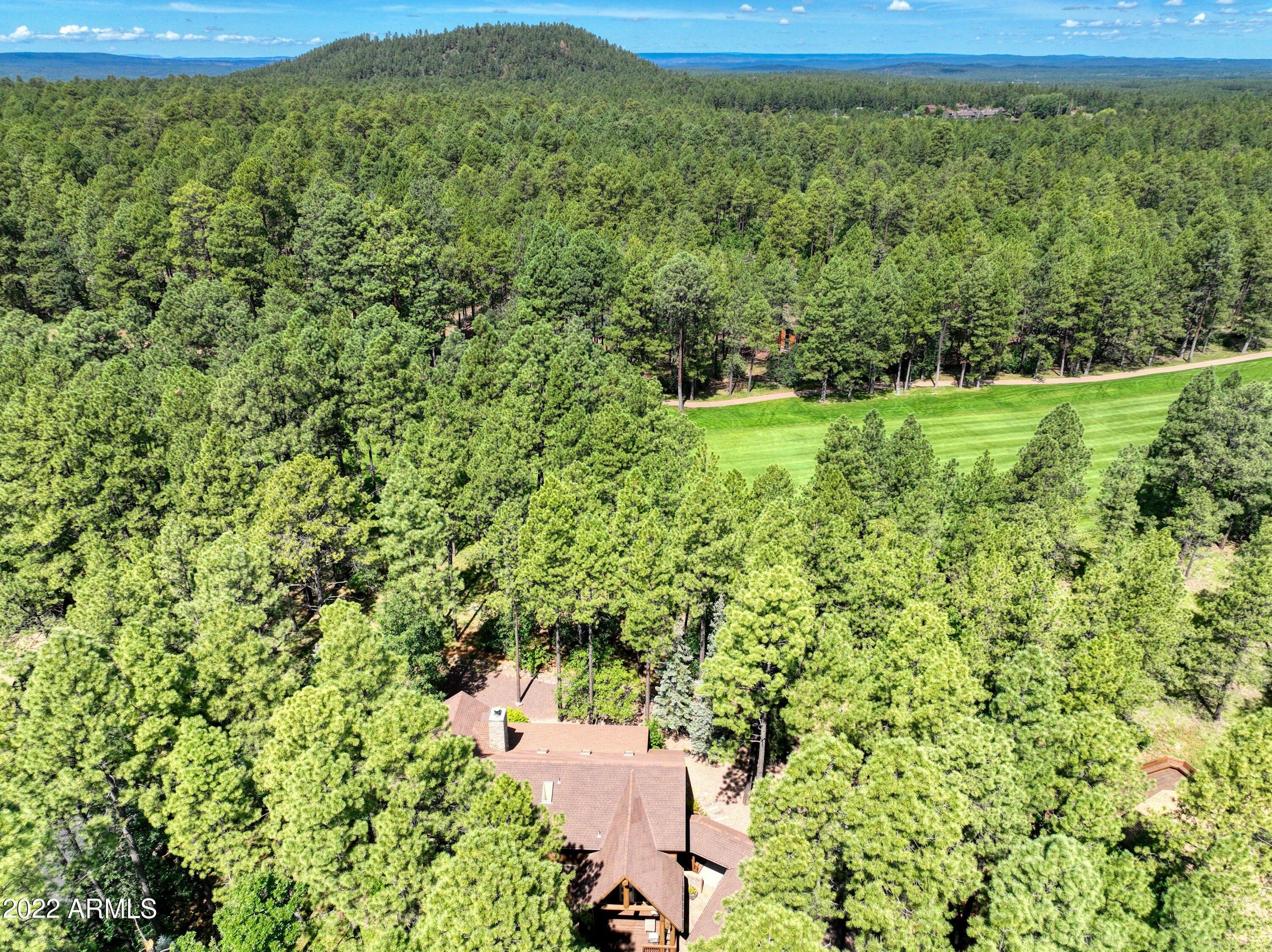 Aspen Loop, Pinetop, AZ 85935