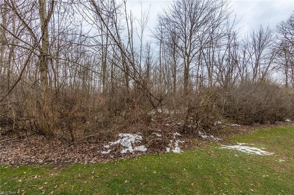 Maxwell Blvd, Brunswick, OH 44212