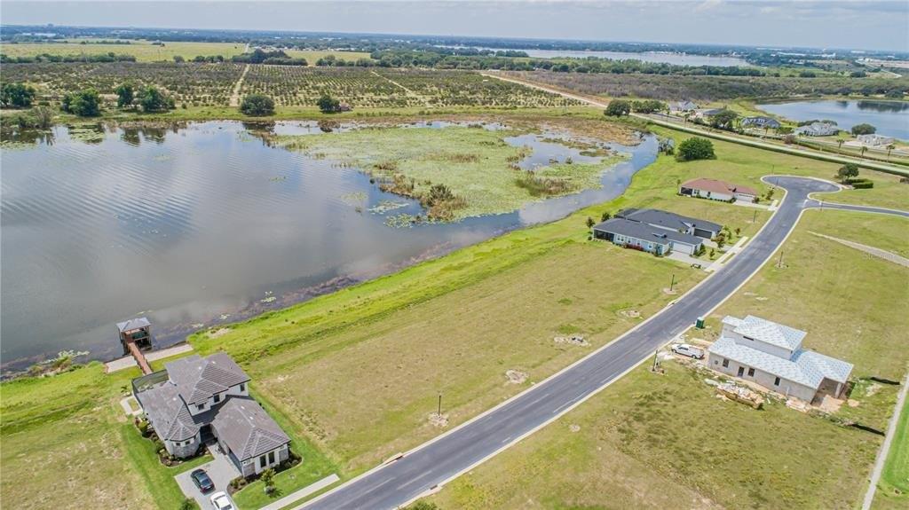 Caladium Ave, Lake Alfred, FL 33850