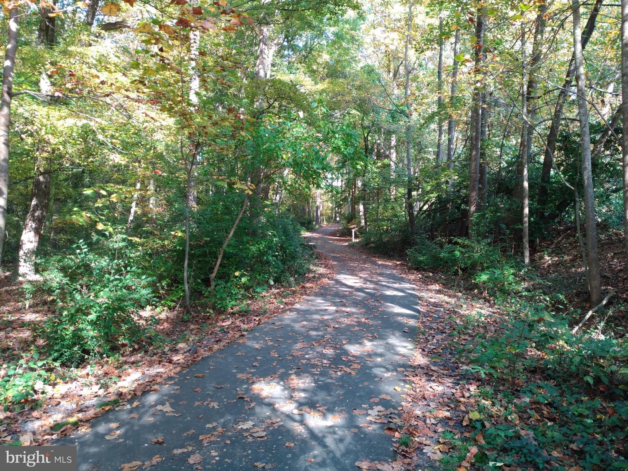 Lindenbrook St, Fairfax, VA 22031