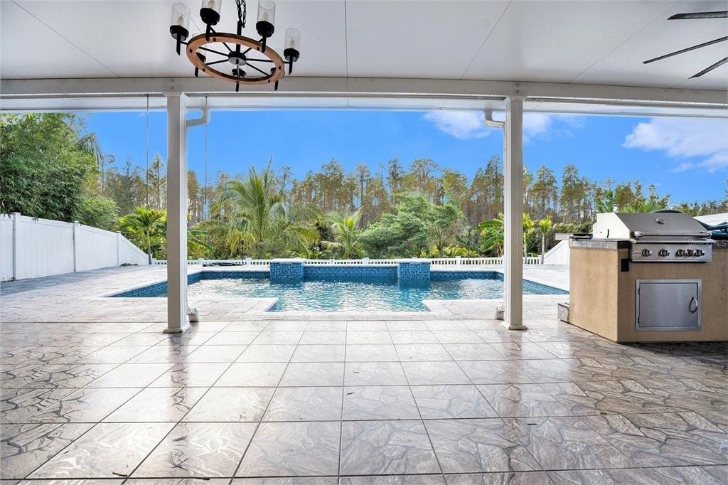 Morgons Castle Ct, Land O Lakes, FL 34638