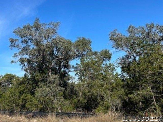 Powder Ridge Rd, New Braunfels, TX 78132