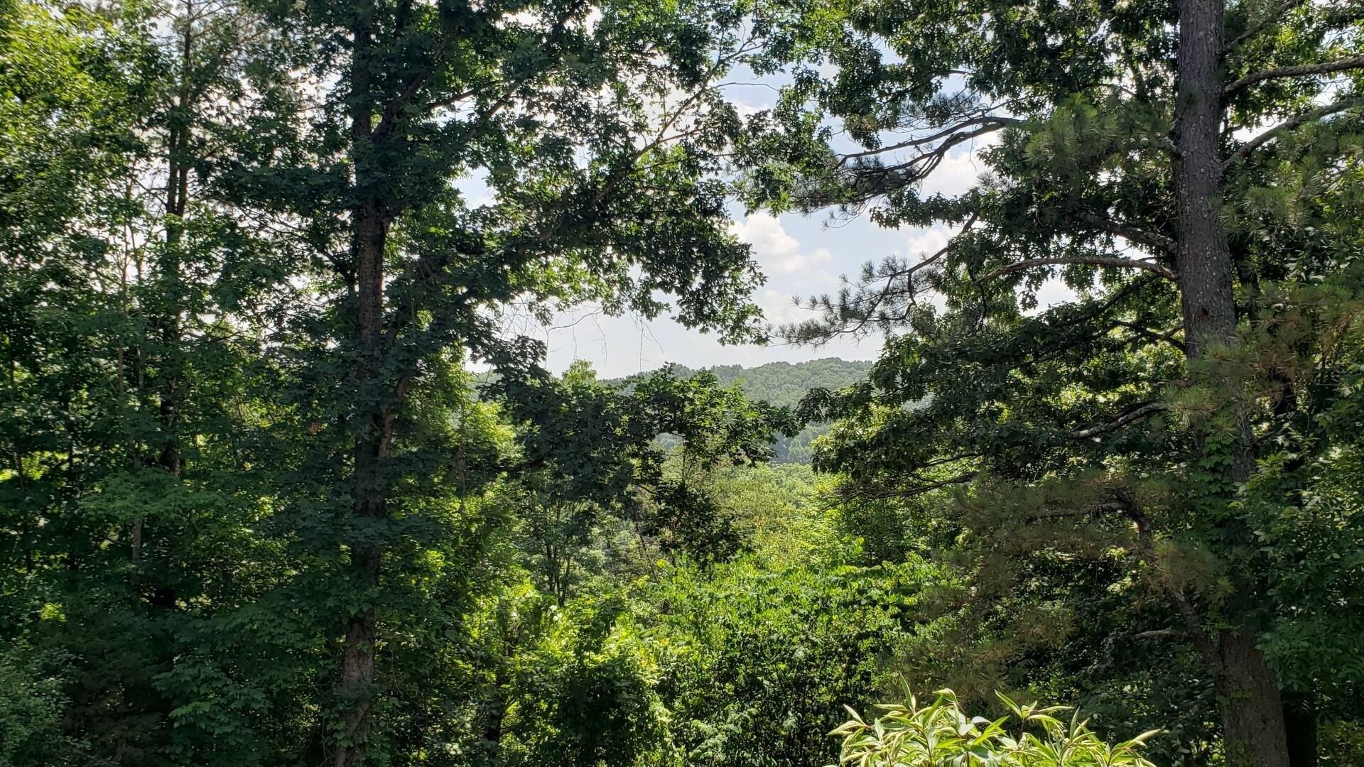 Rector Dr, Kingsport, TN 37665