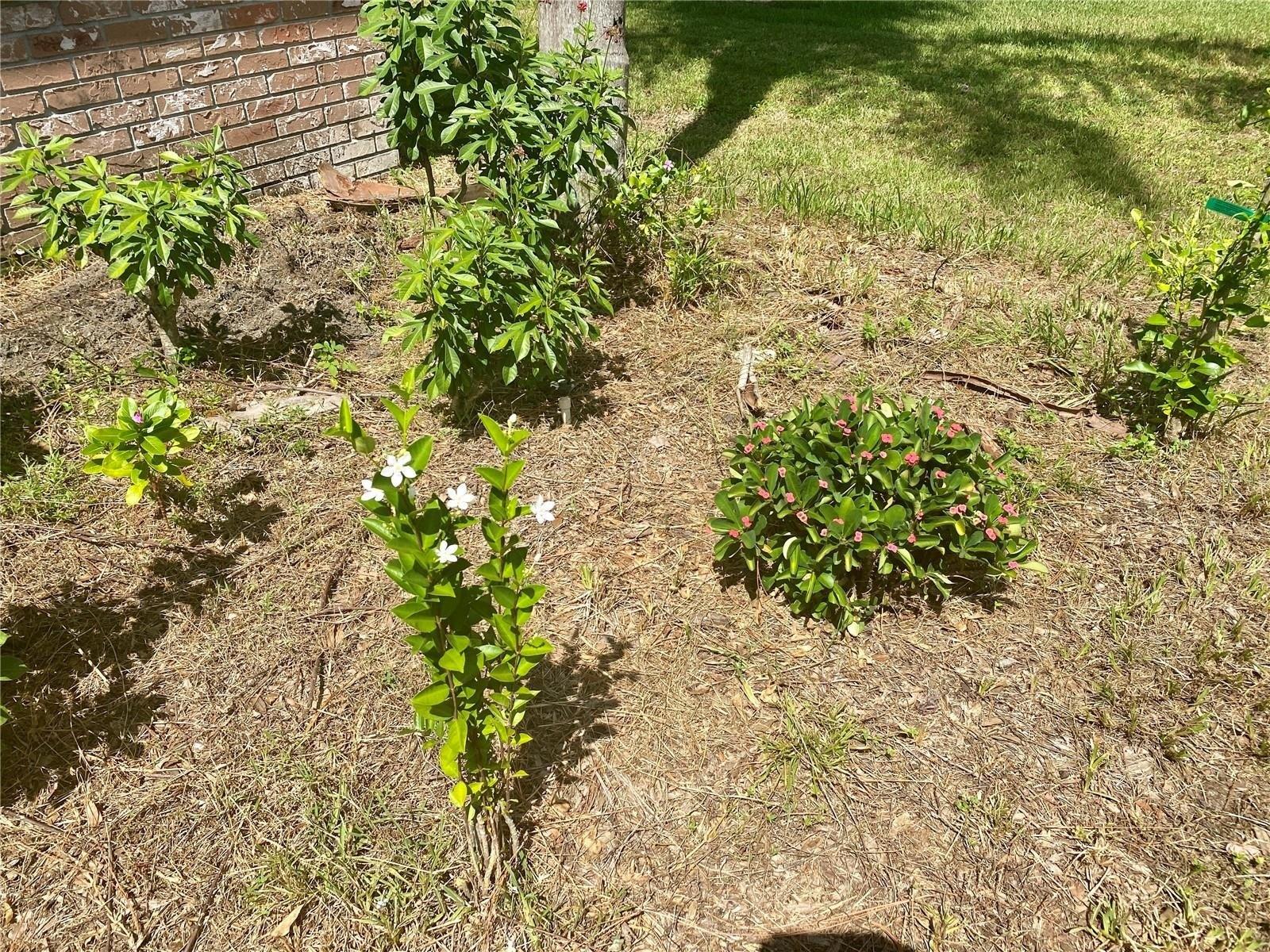 Viola Dr, Brandon, FL 33511