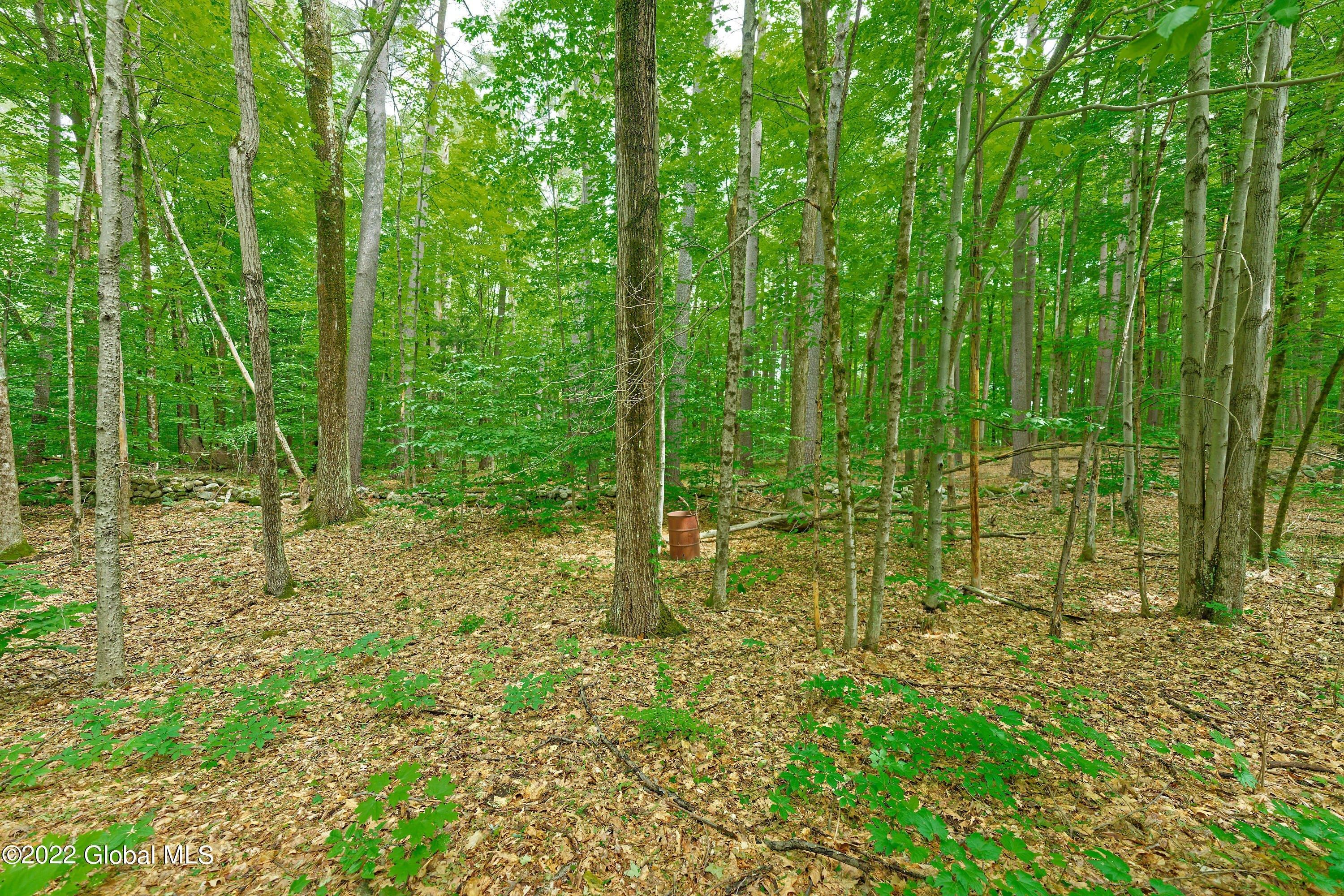 Middle Grove Rd, Greenfield Center, NY 12833