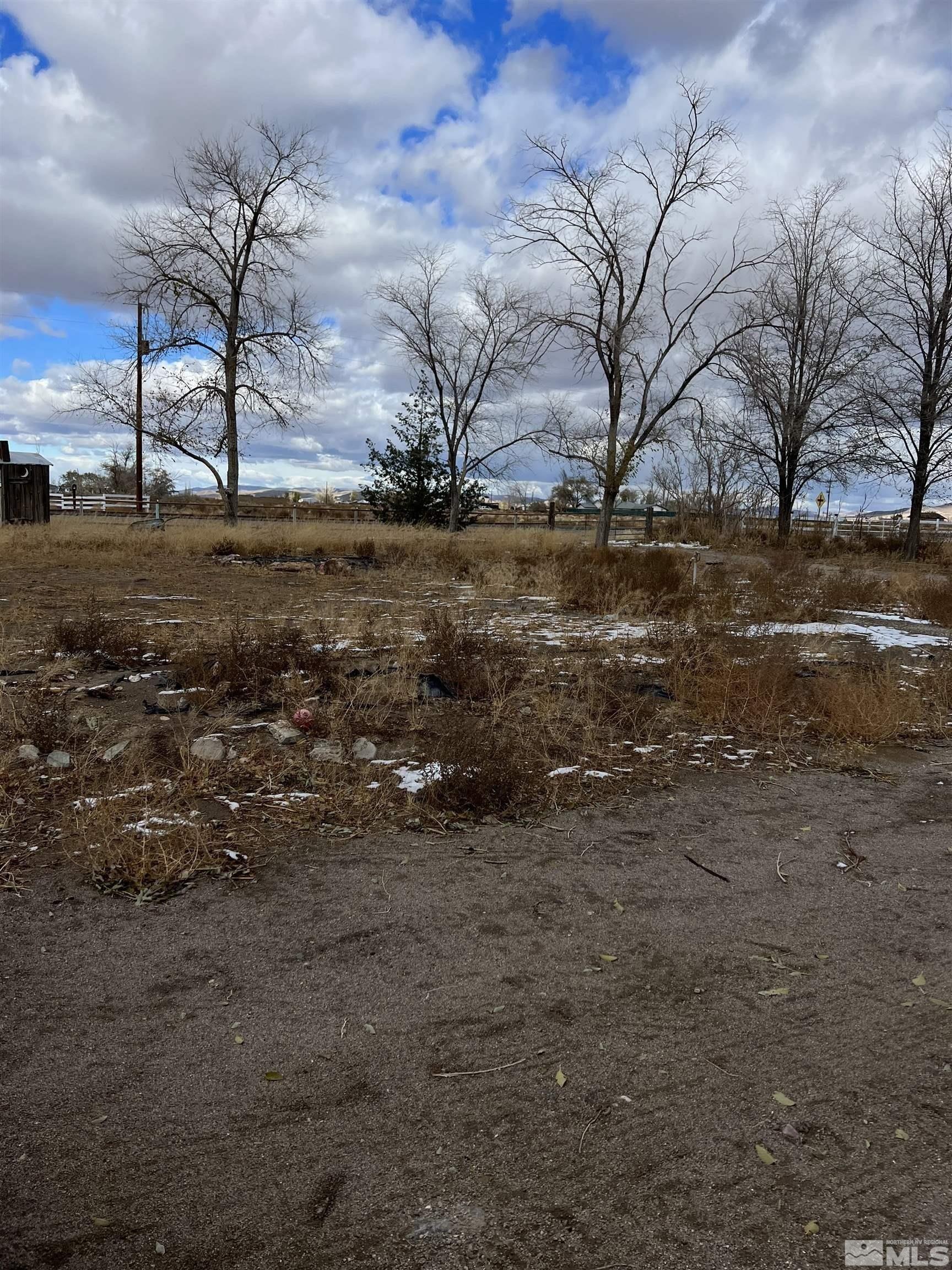Pete Hendrichs Rd, Yerington, NV 89447