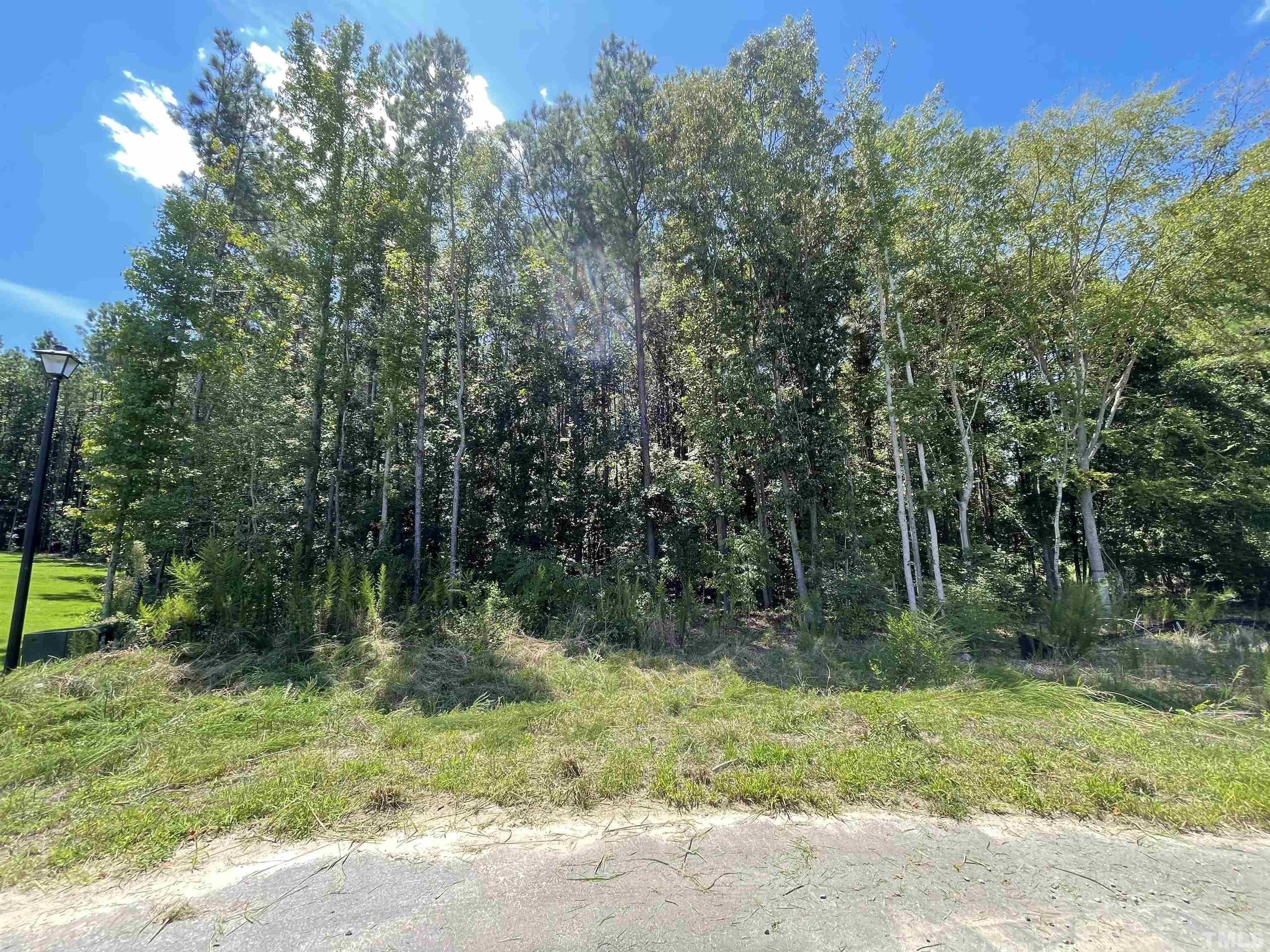 Dale Ridge Dr, Princeton, NC 27569