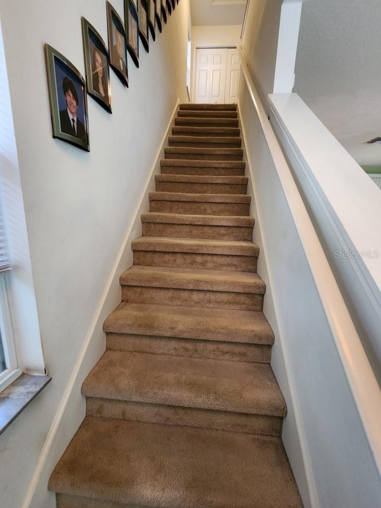 Golden Oak Ln, Valrico, FL 33594