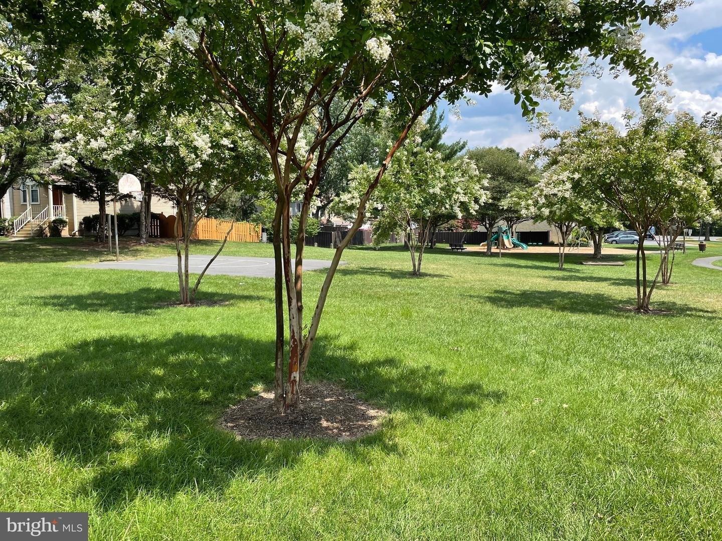 Shannon Pl, Herndon, VA 20170