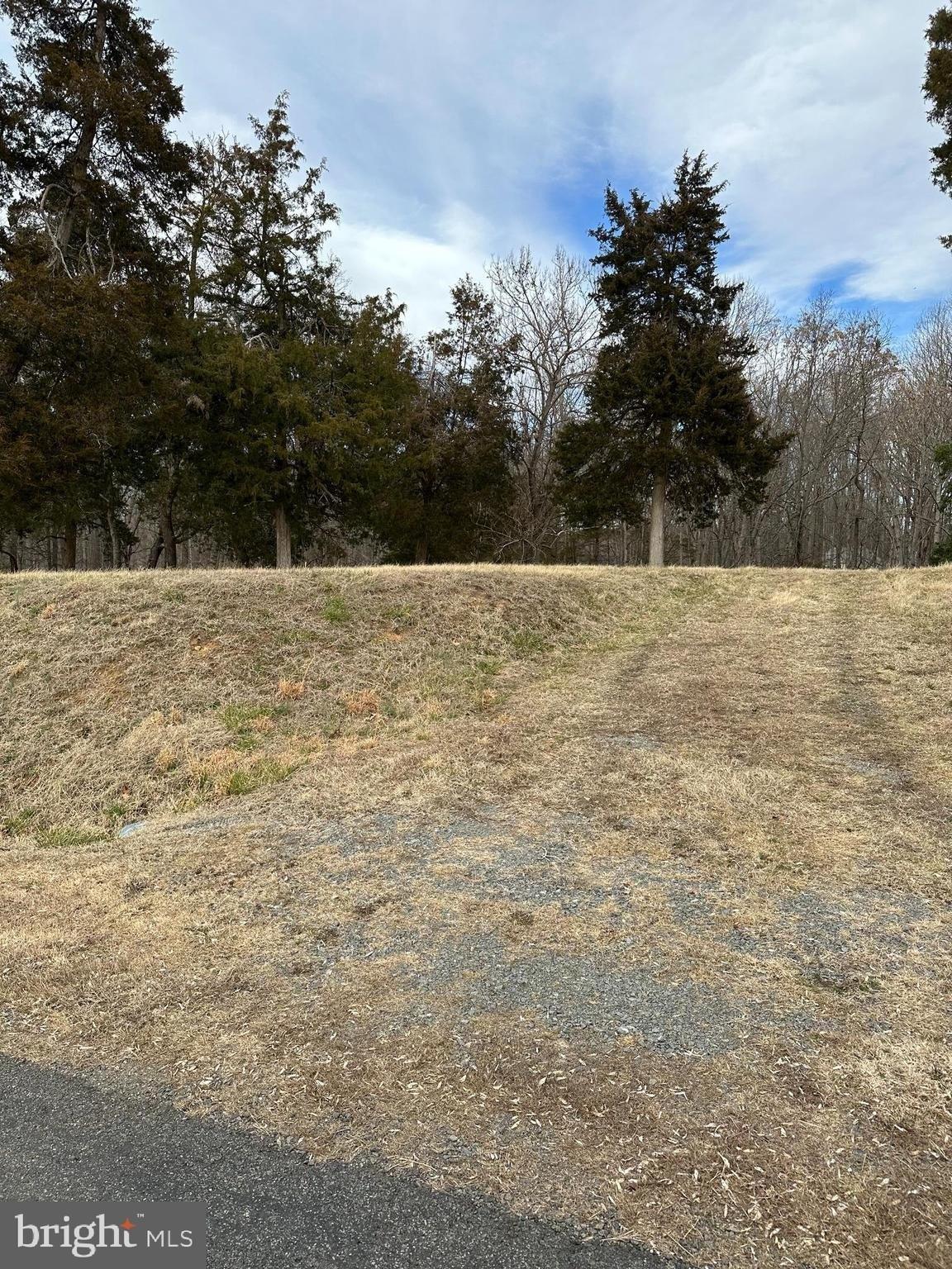 Cedar Hill Dr, Mineral, VA 23117